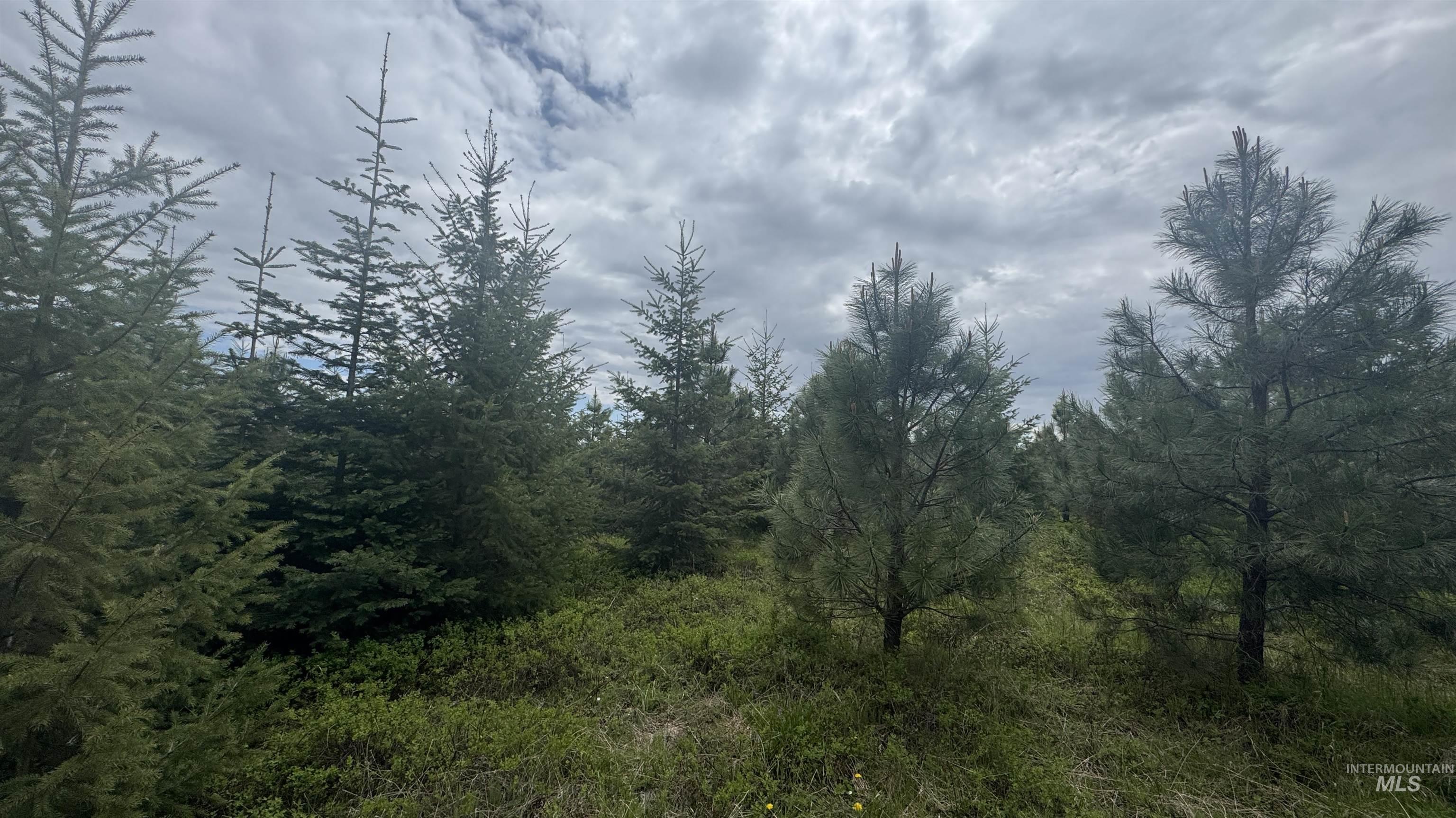 TBD Parcel 8 Bandmill Heights, Orofino, Idaho 83544, Land For Sale, Price $219,500, 98947706