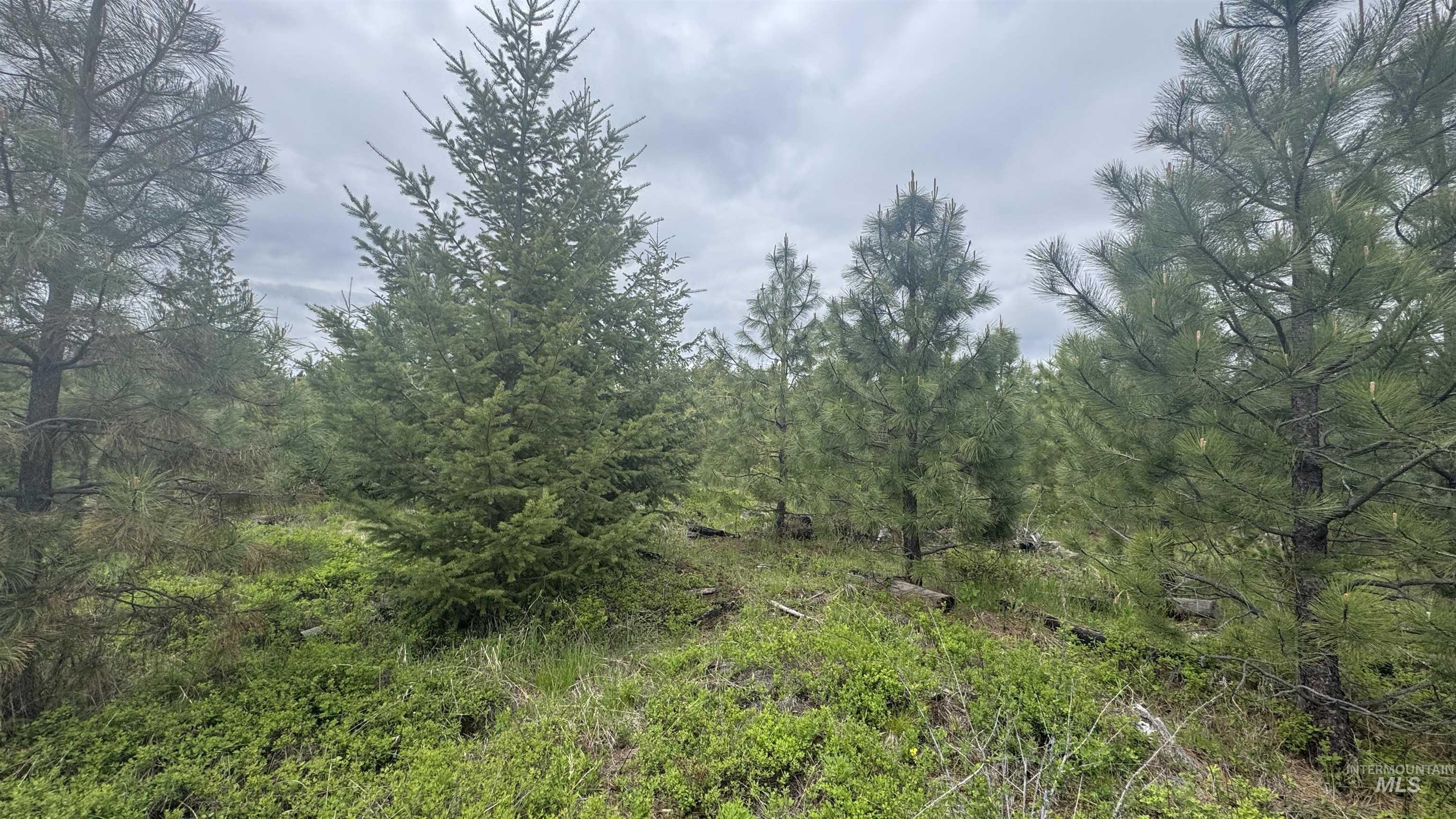 TBD Parcel 8 Bandmill Heights, Orofino, Idaho 83544, Land For Sale, Price $219,500, 98947706