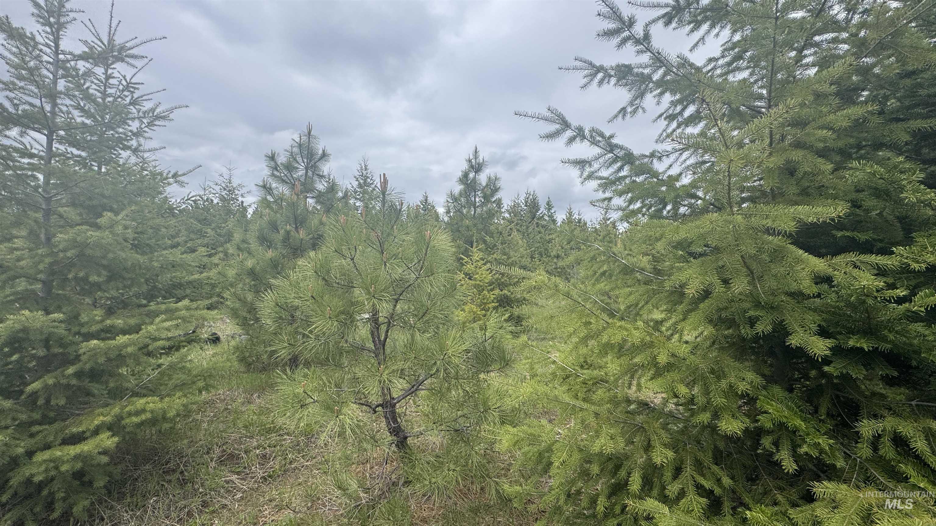 TBD Parcel 8 Bandmill Heights, Orofino, Idaho 83544, Land For Sale, Price $219,500, 98947706