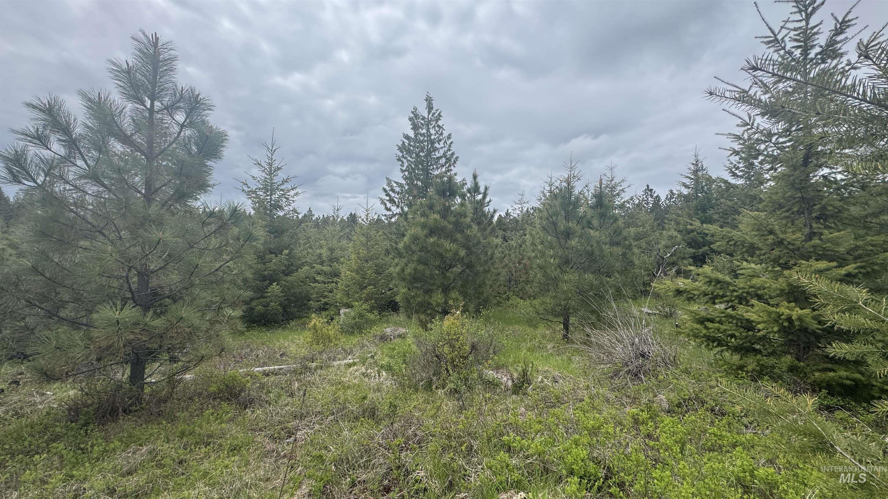 TBD Parcel 8 Bandmill Heights, Orofino, Idaho 83544, Land For Sale, Price $219,500, 98947706