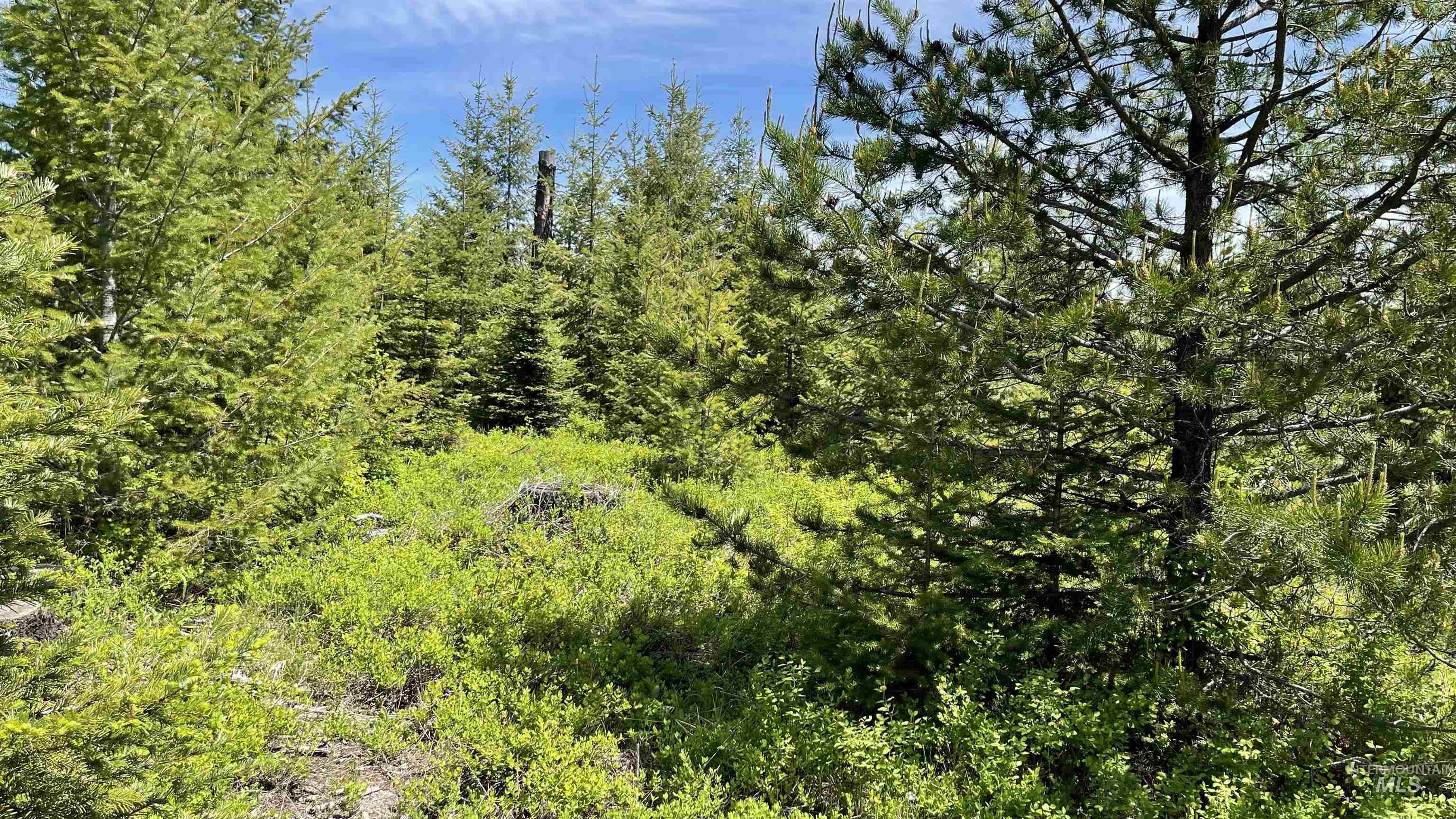 TBD Parcel 8 Bandmill Heights, Orofino, Idaho 83544, Land For Sale, Price $219,500, 98947706