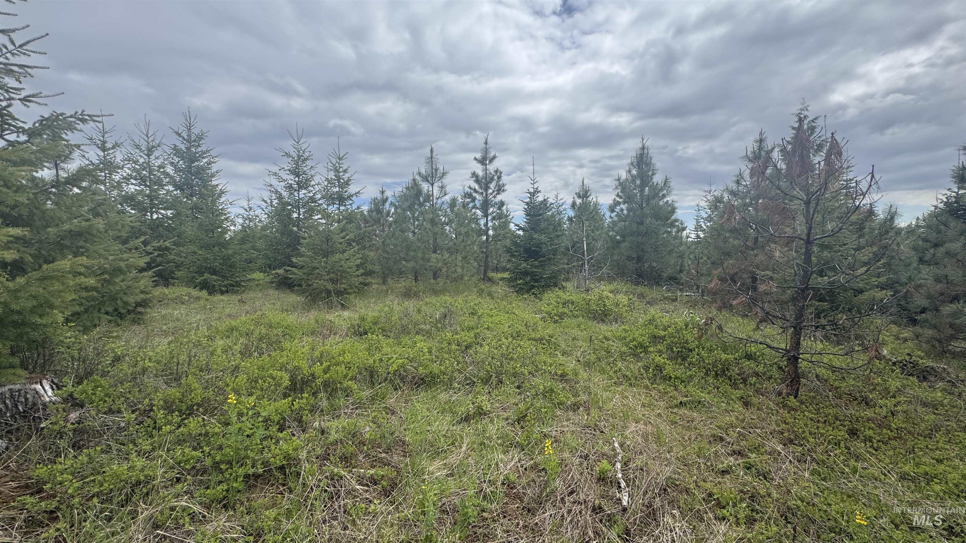 TBD Parcel 8 Bandmill Heights, Orofino, Idaho 83544, Land For Sale, Price $219,500, 98947706