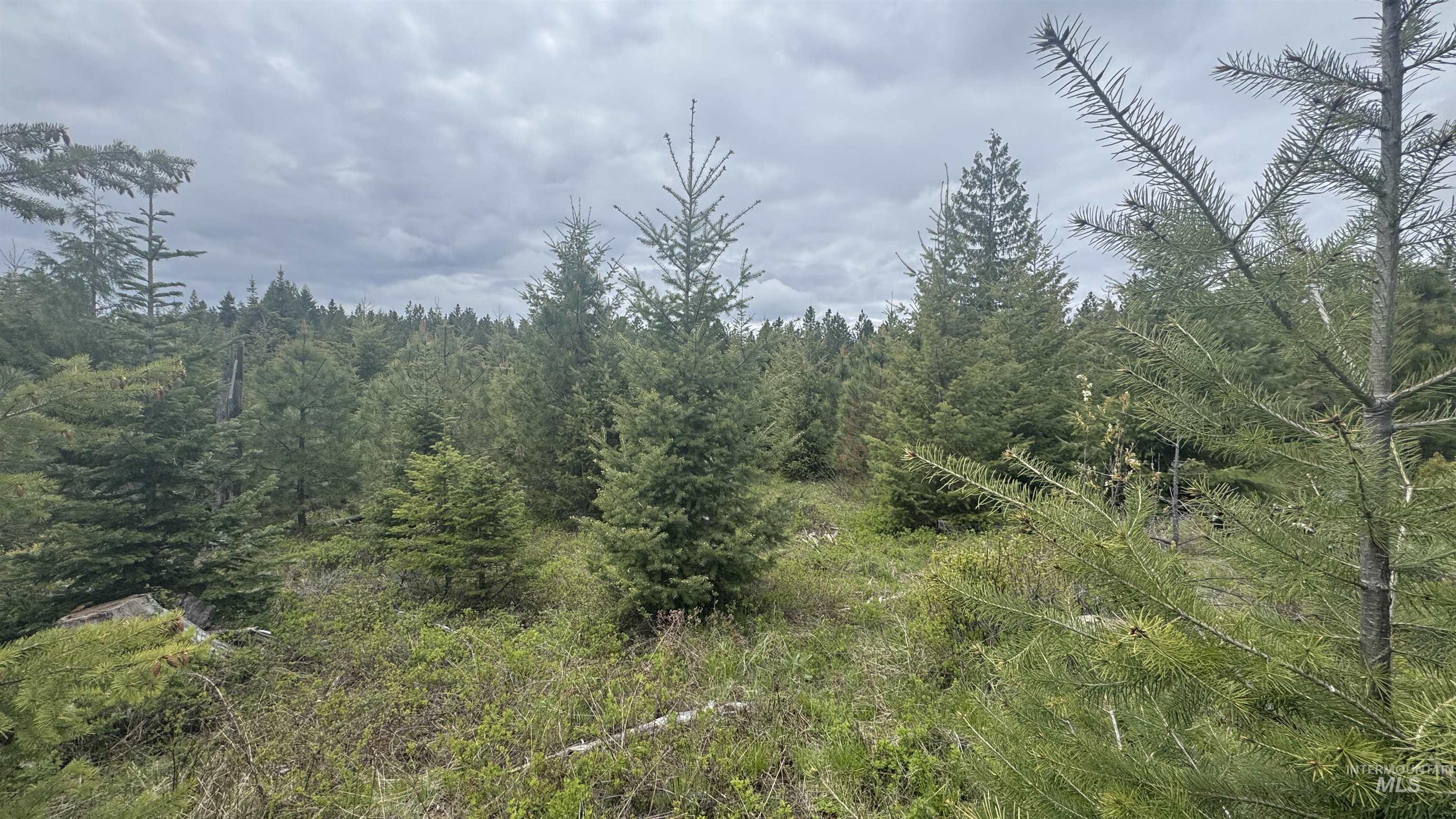 TBD Parcel 8 Bandmill Heights, Orofino, Idaho 83544, Land For Sale, Price $219,500, 98947706
