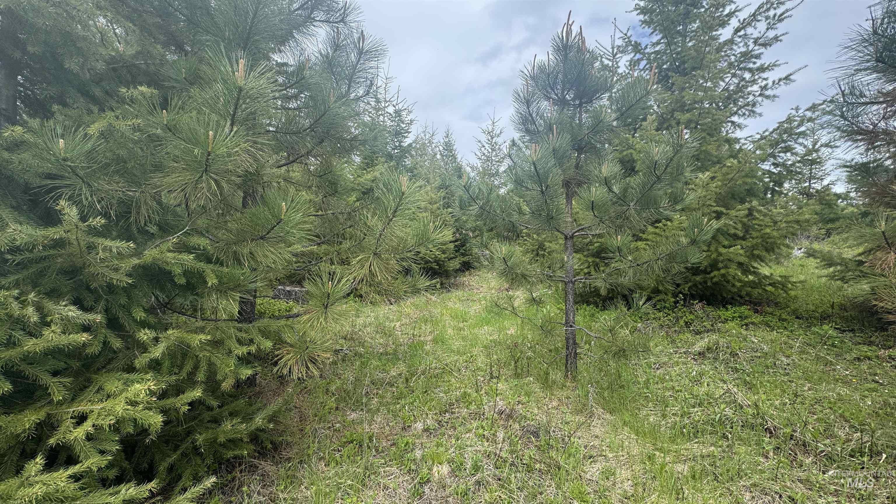 TBD Parcel 8 Bandmill Heights, Orofino, Idaho 83544, Land For Sale, Price $219,500, 98947706