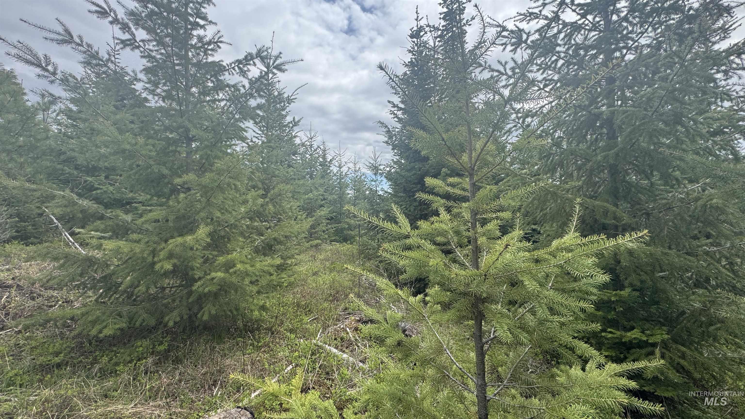 TBD Parcel 8 Bandmill Heights, Orofino, Idaho 83544, Land For Sale, Price $219,500, 98947706