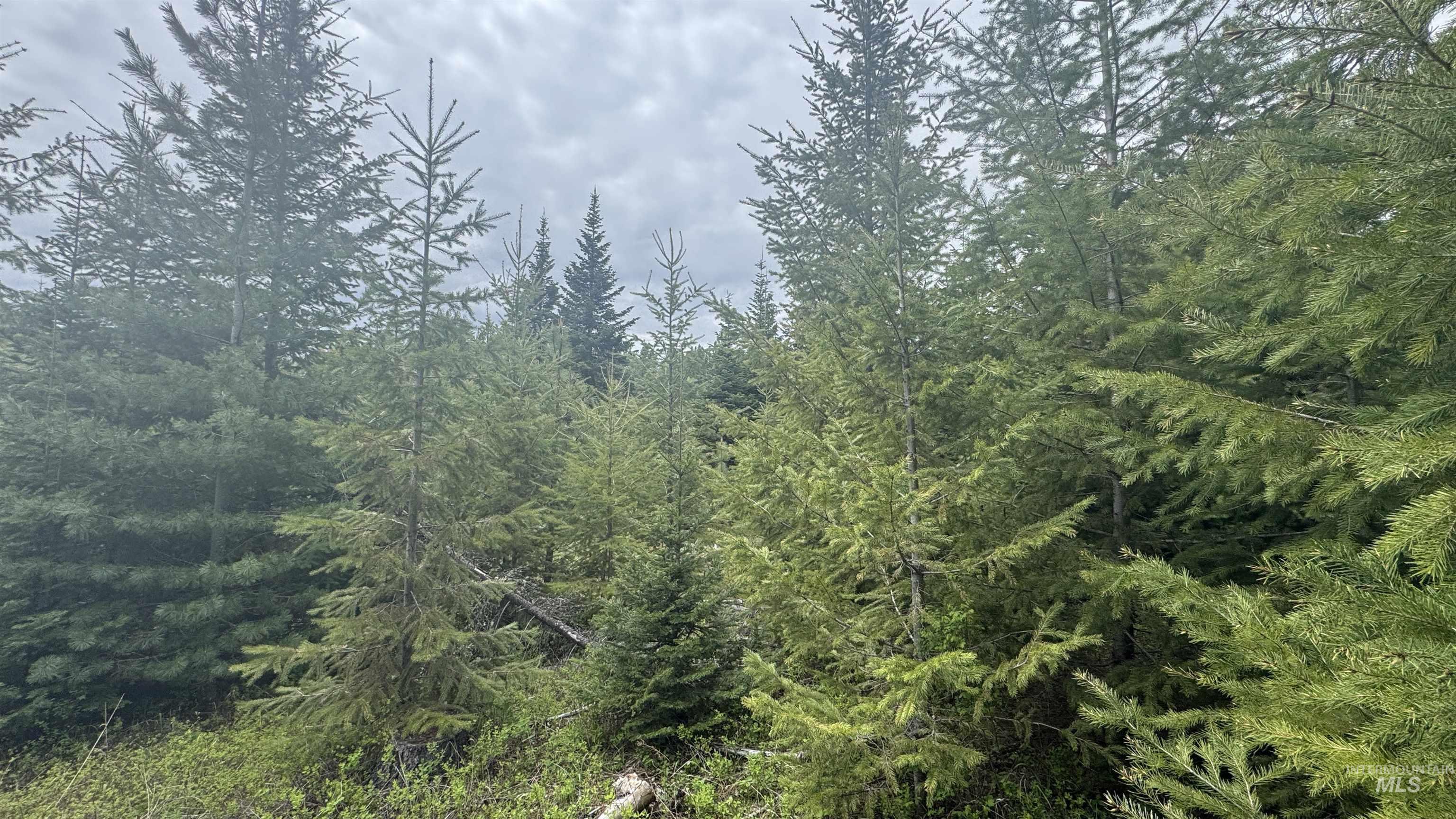 TBD Parcel 8 Bandmill Heights, Orofino, Idaho 83544, Land For Sale, Price $219,500, 98947706