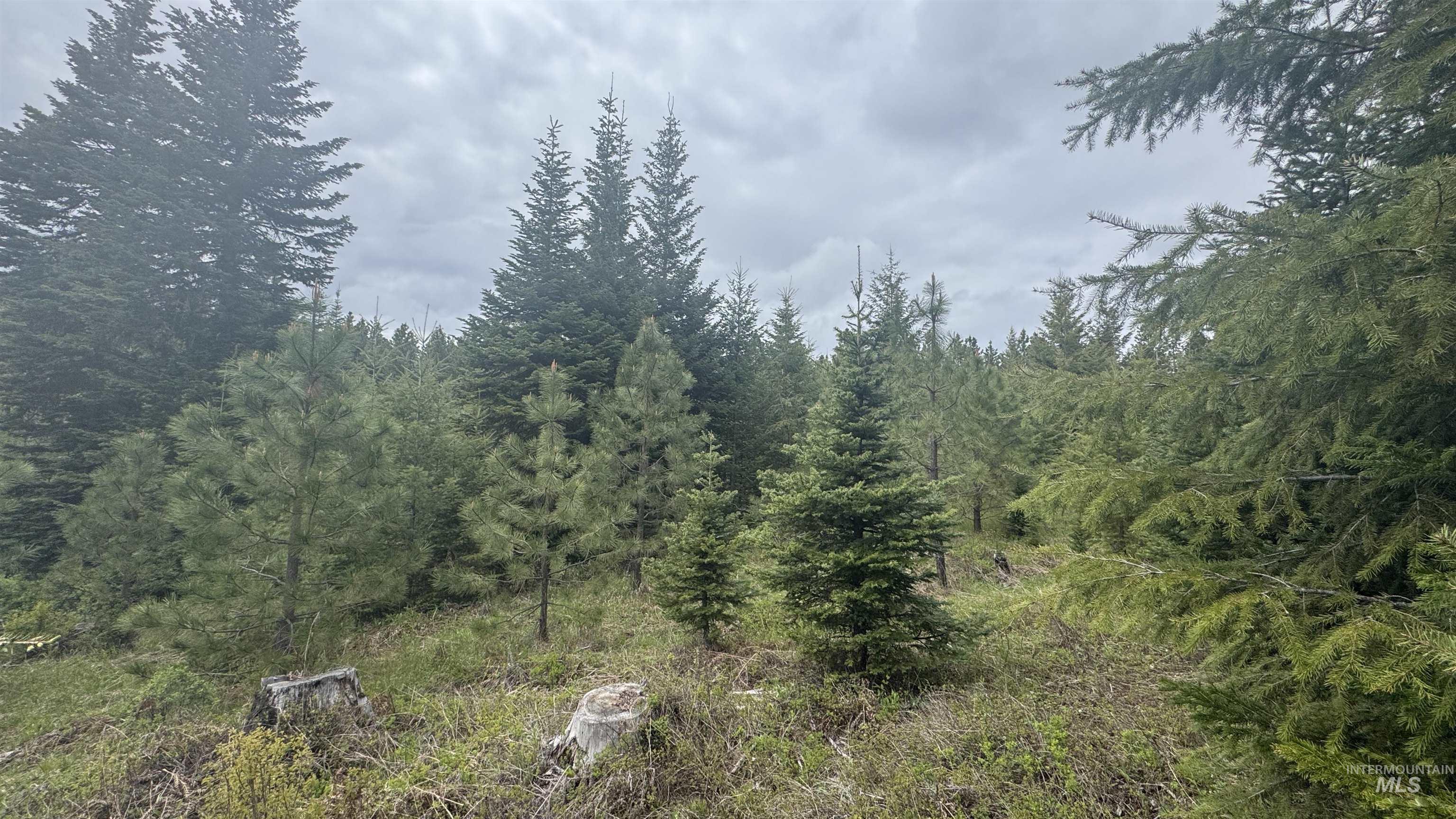 TBD Parcel 8 Bandmill Heights, Orofino, Idaho 83544, Land For Sale, Price $219,500, 98947706