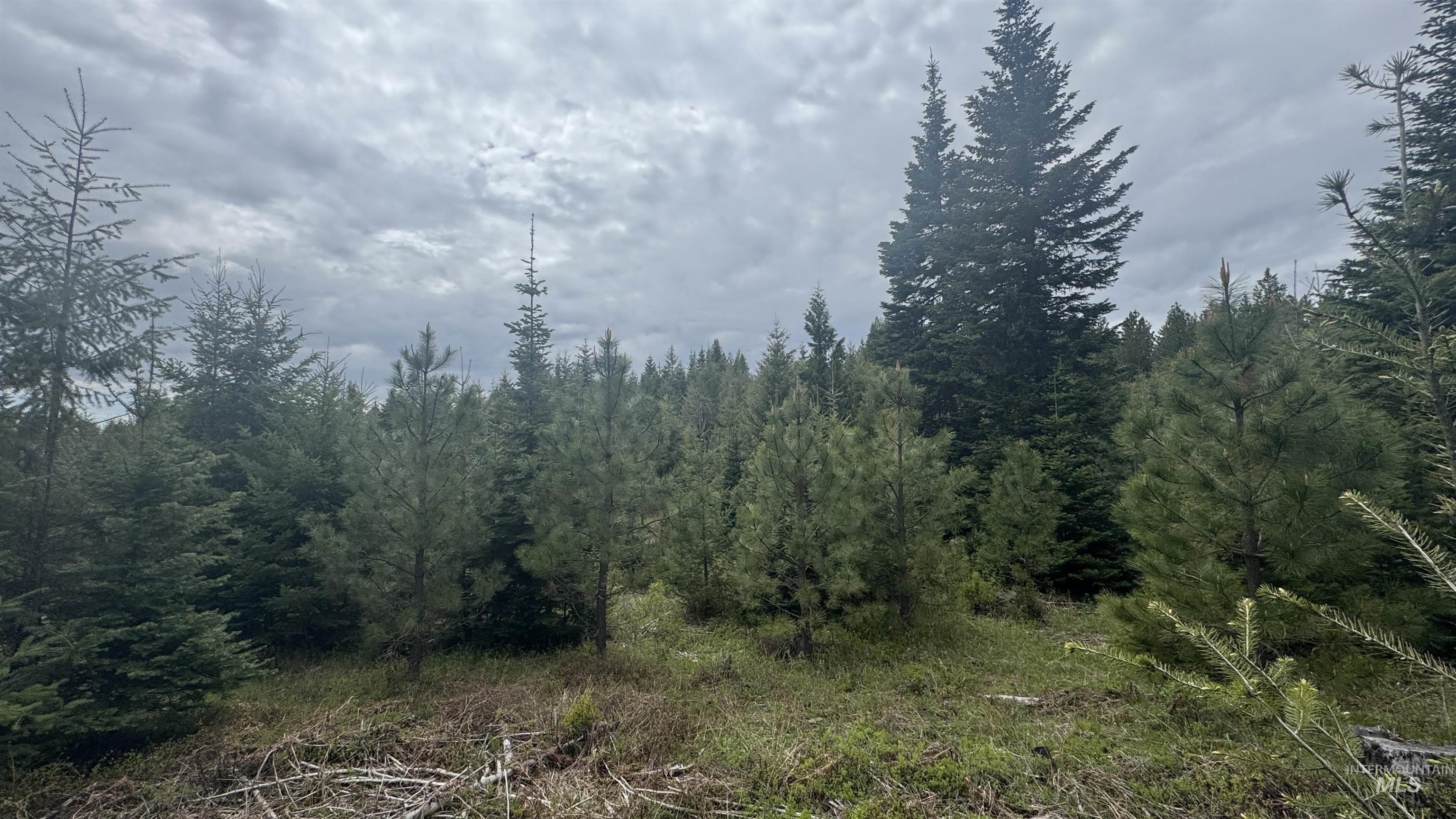 TBD Parcel 8 Bandmill Heights, Orofino, Idaho 83544, Land For Sale, Price $219,500, 98947706