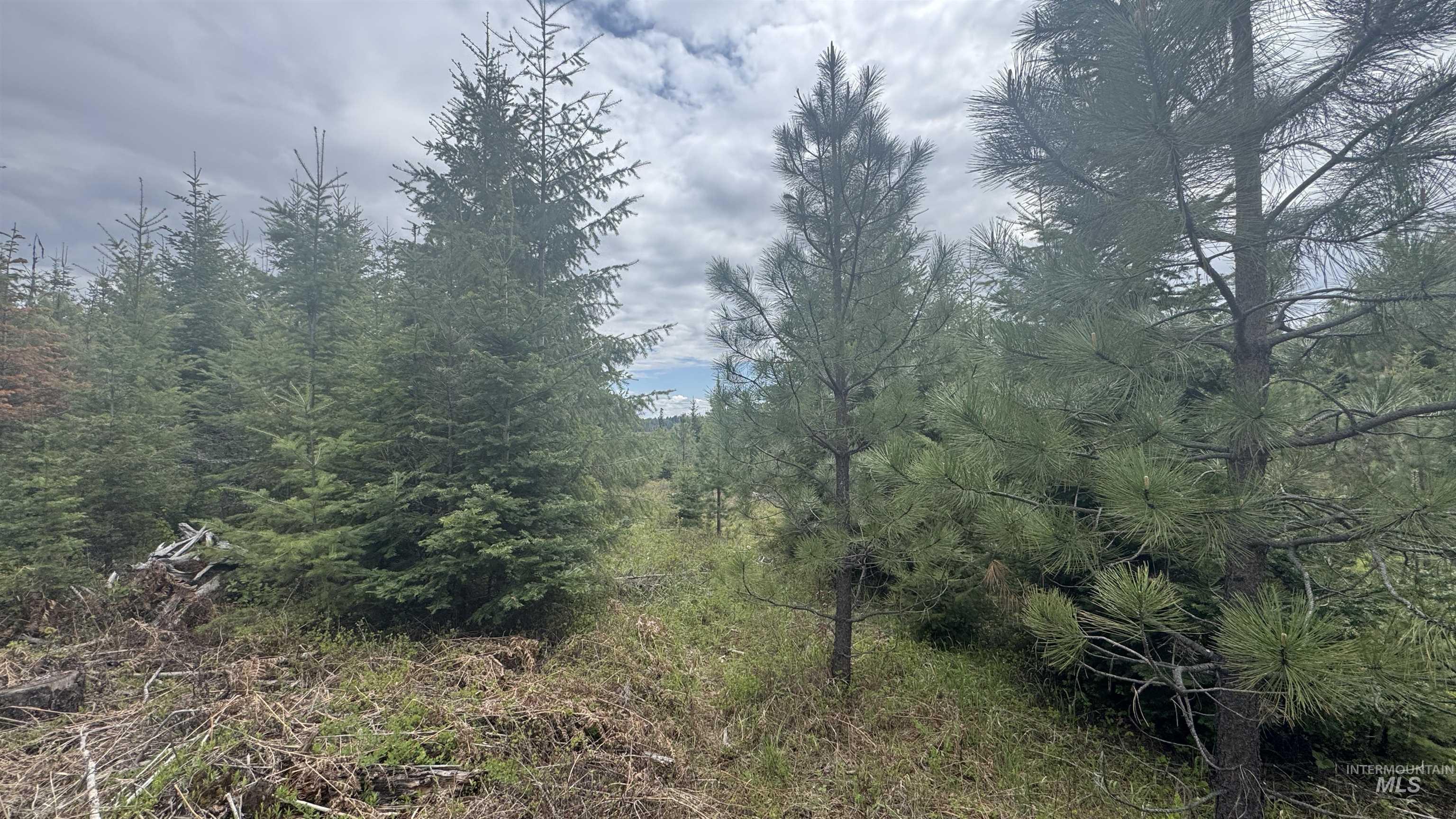 TBD Parcel 8 Bandmill Heights, Orofino, Idaho 83544, Land For Sale, Price $219,500, 98947706