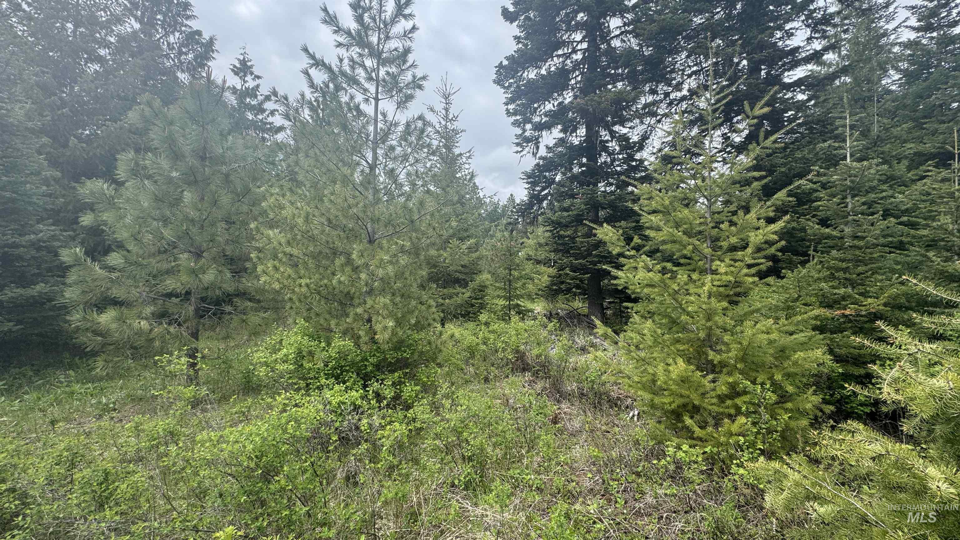 TBD Parcel 8 Bandmill Heights, Orofino, Idaho 83544, Land For Sale, Price $219,500, 98947706