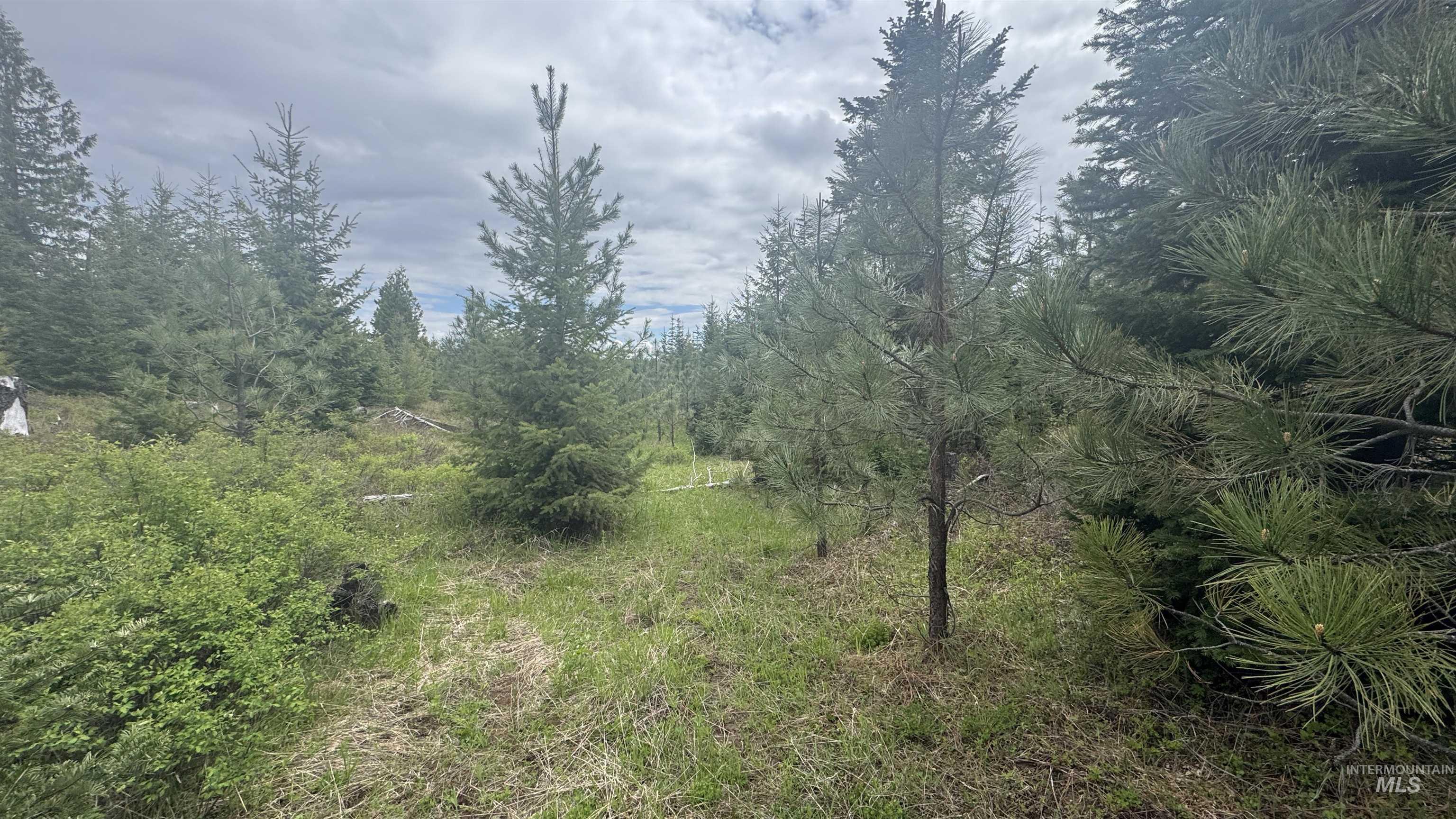 TBD Parcel 8 Bandmill Heights, Orofino, Idaho 83544, Land For Sale, Price $219,500, 98947706