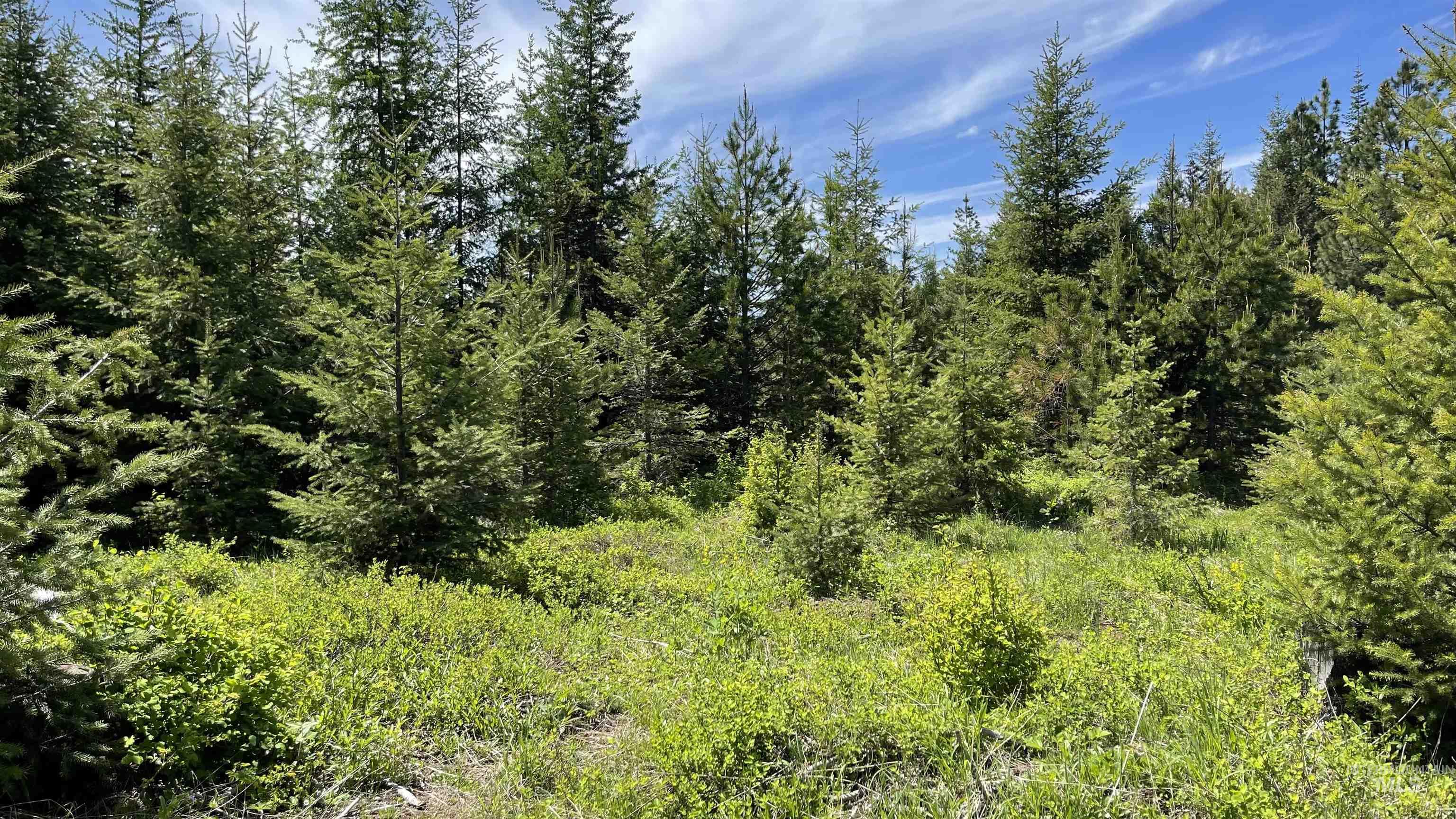TBD Parcel 8 Bandmill Heights, Orofino, Idaho 83544, Land For Sale, Price $219,500, 98947706
