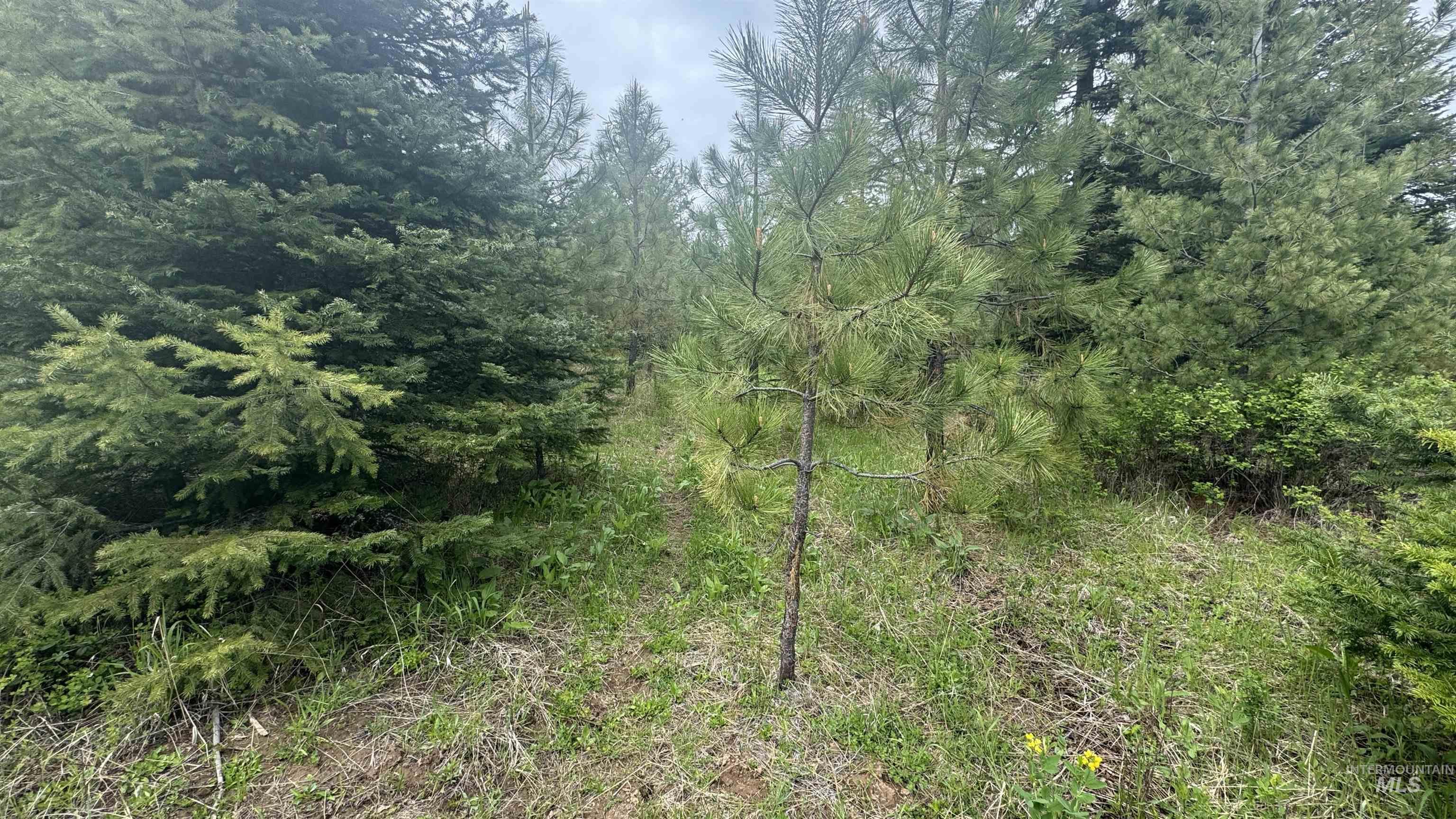 TBD Parcel 8 Bandmill Heights, Orofino, Idaho 83544, Land For Sale, Price $219,500, 98947706