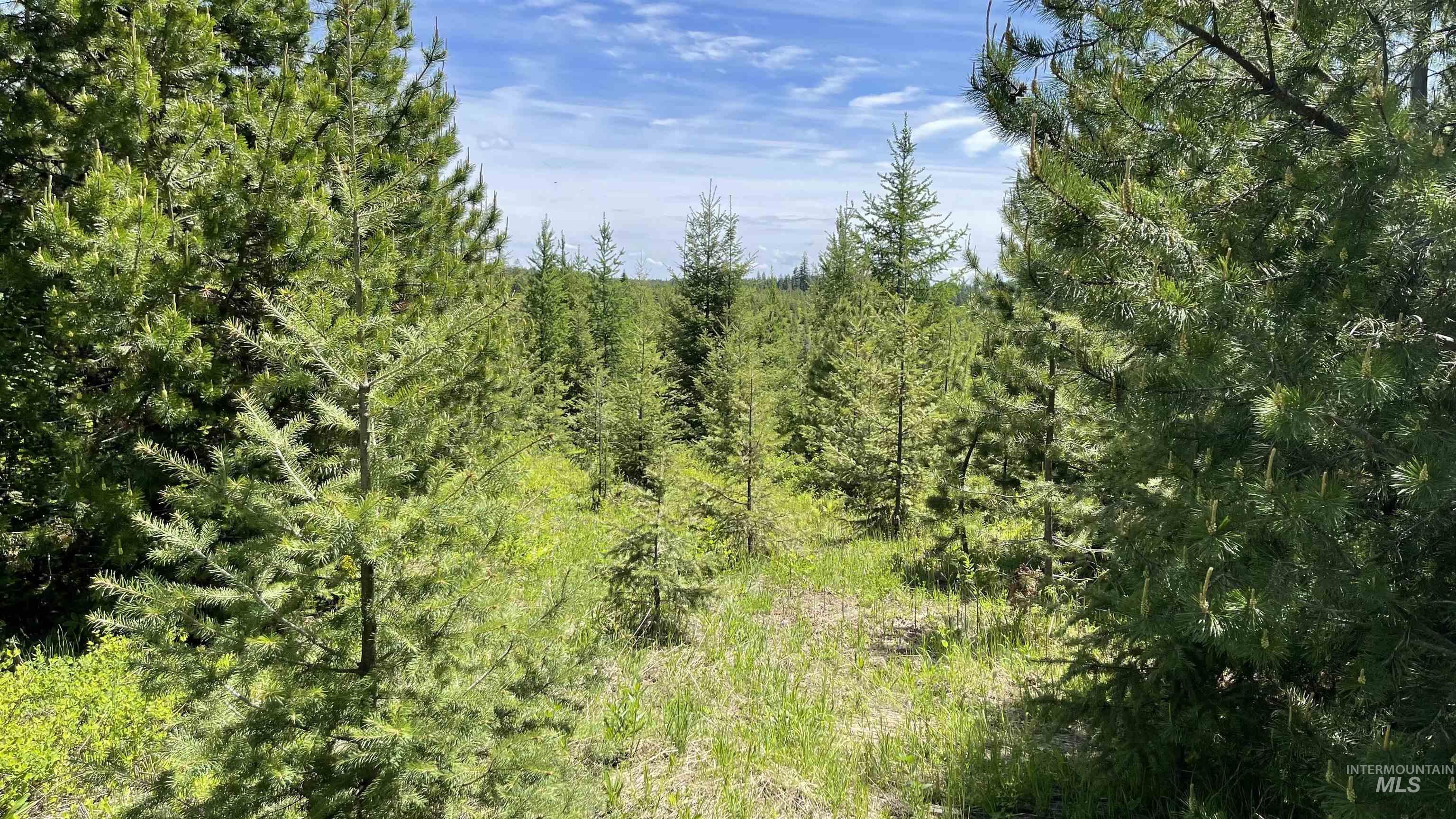 TBD Parcel 8 Bandmill Heights, Orofino, Idaho 83544, Land For Sale, Price $219,500, 98947706