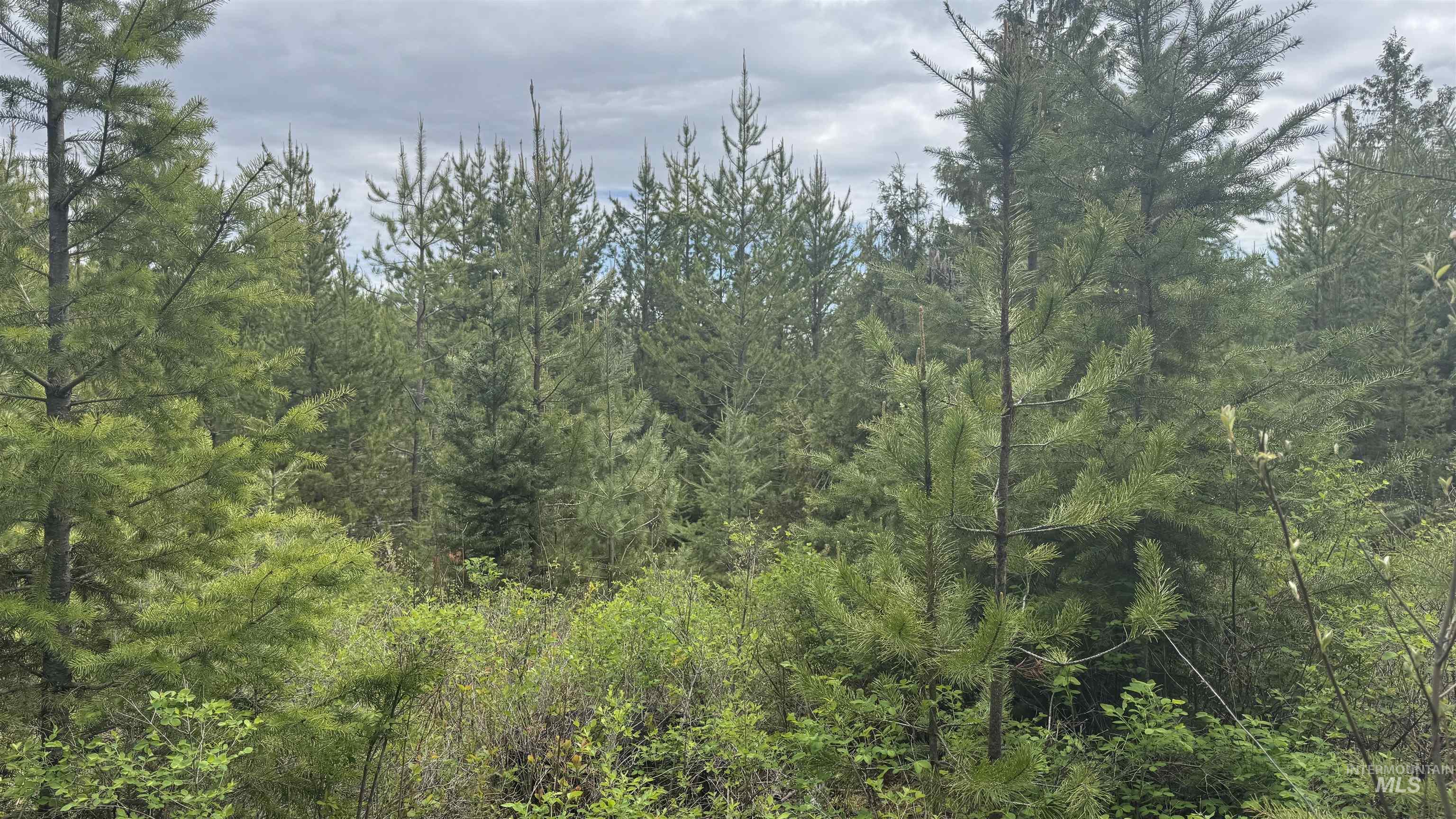 TBD Parcel 8 Bandmill Heights, Orofino, Idaho 83544, Land For Sale, Price $219,500, 98947706