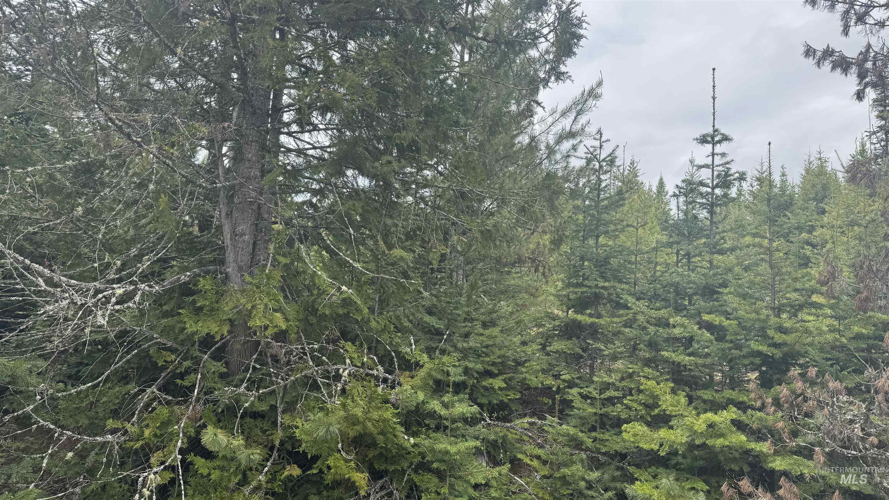 TBD Parcel 8 Bandmill Heights, Orofino, Idaho 83544, Land For Sale, Price $219,500, 98947706