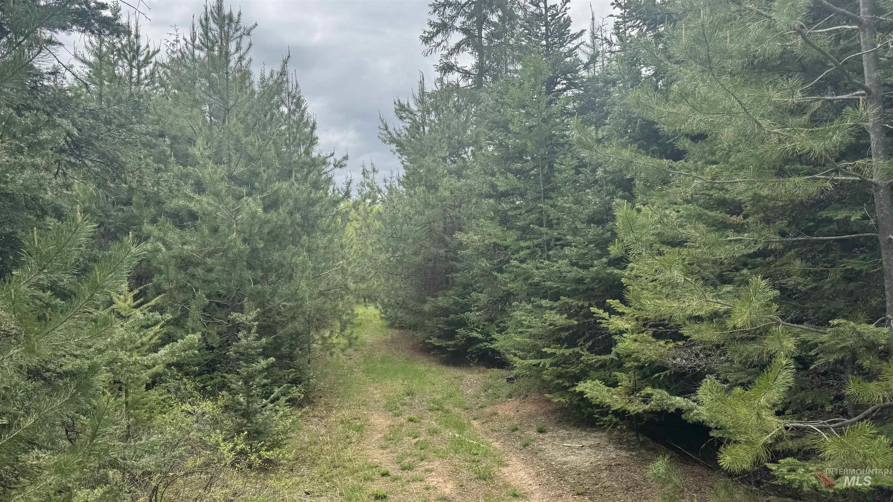 TBD Parcel 8 Bandmill Heights, Orofino, Idaho 83544, Land For Sale, Price $219,500, 98947706