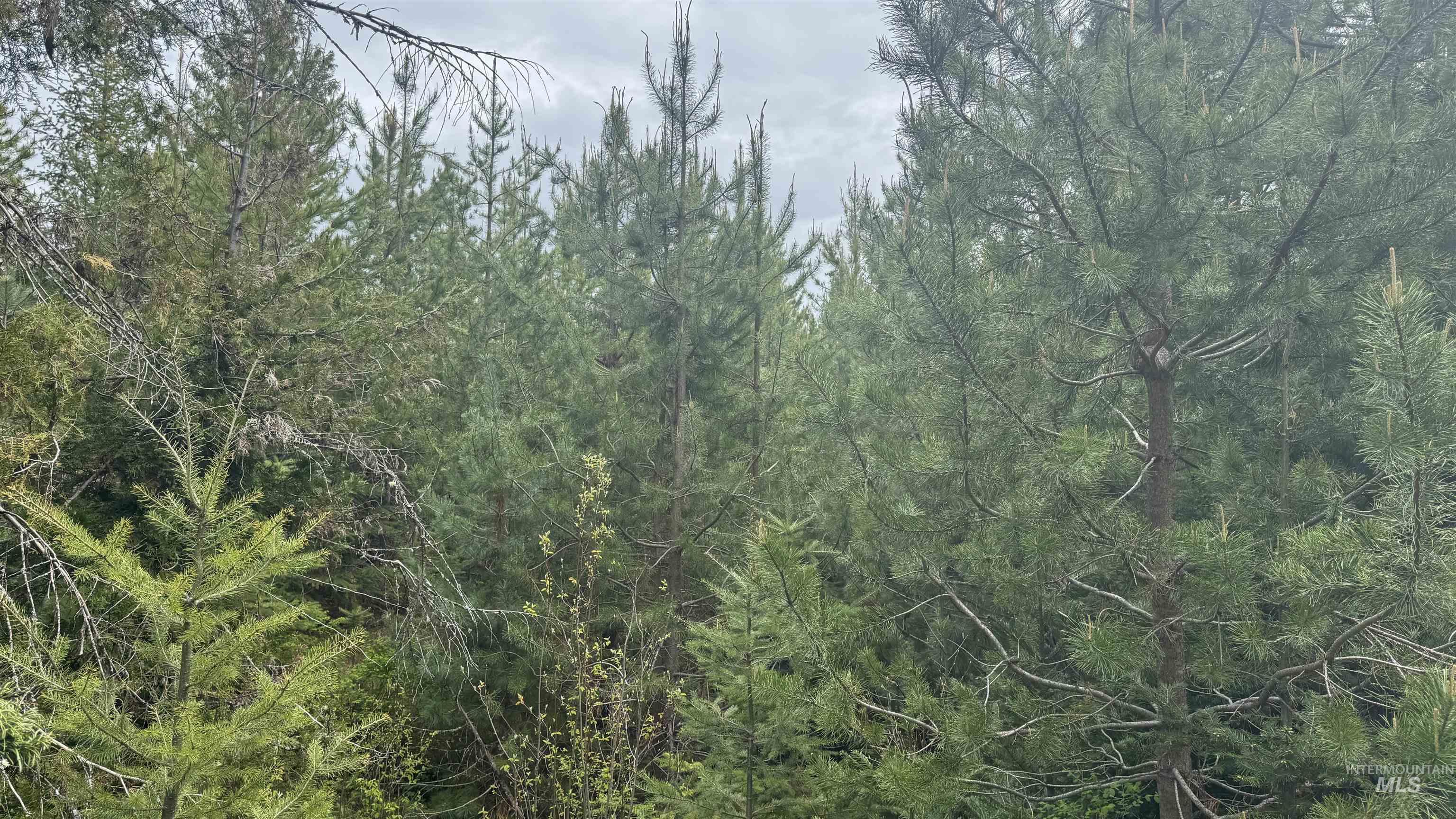 TBD Parcel 8 Bandmill Heights, Orofino, Idaho 83544, Land For Sale, Price $219,500, 98947706