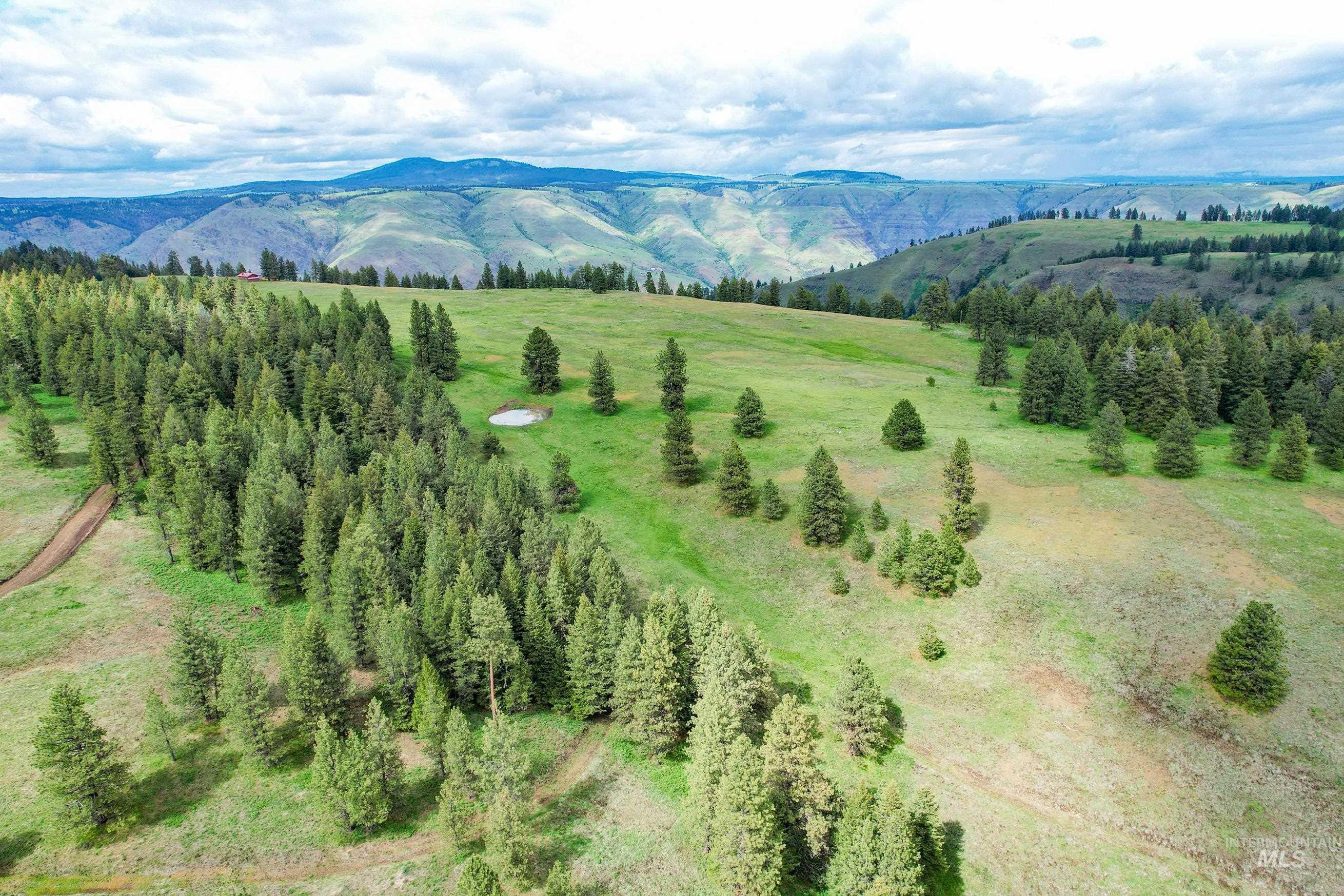 205 Burnt Creek Road, CottonWood, Idaho 83522, 1 Bedroom, 1 Bathroom, Farm & Ranch For Sale, Price $3,866,800, 98947716