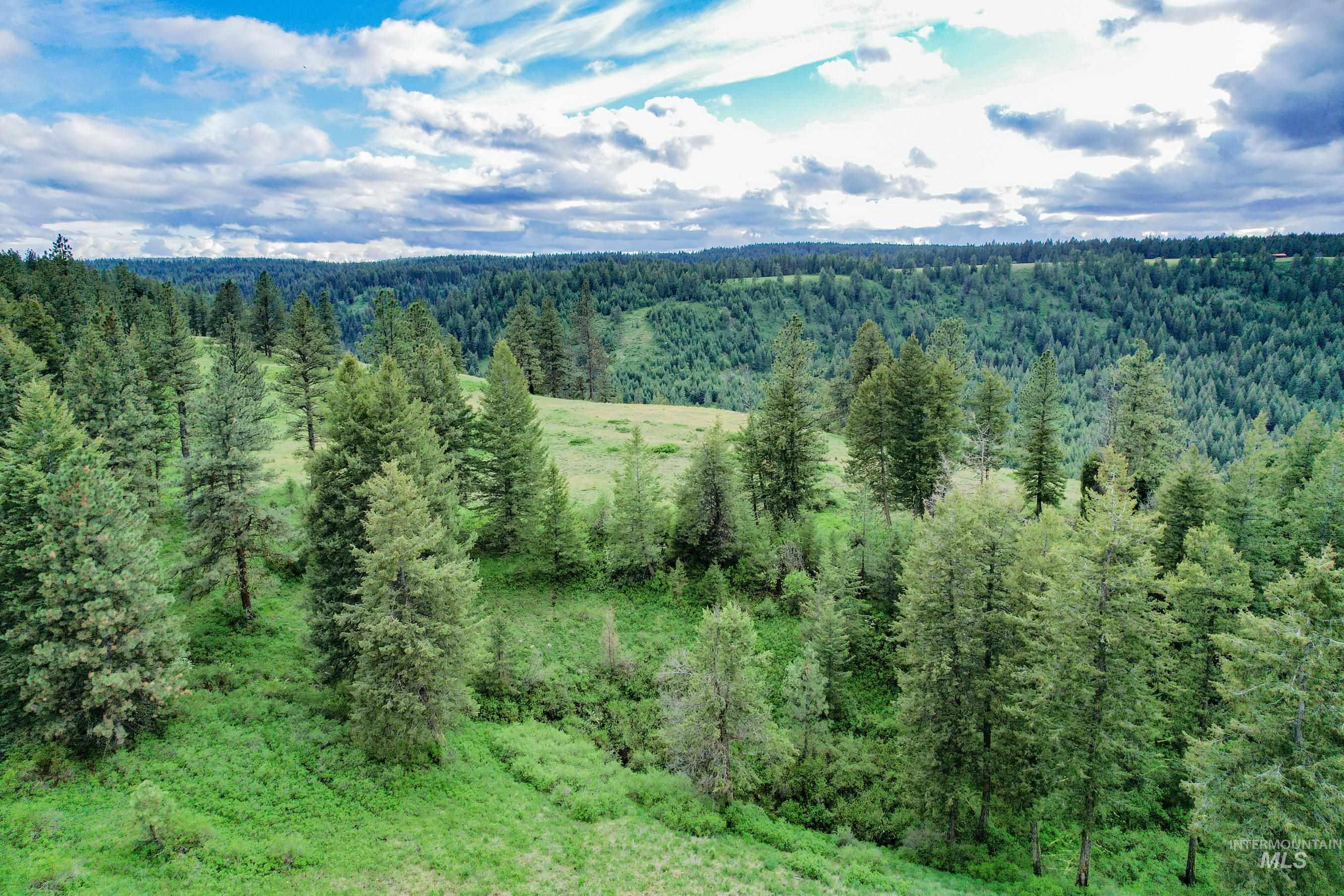 205 Burnt Creek Road, CottonWood, Idaho 83522, 1 Bedroom, 1 Bathroom, Farm & Ranch For Sale, Price $3,866,800, 98947716