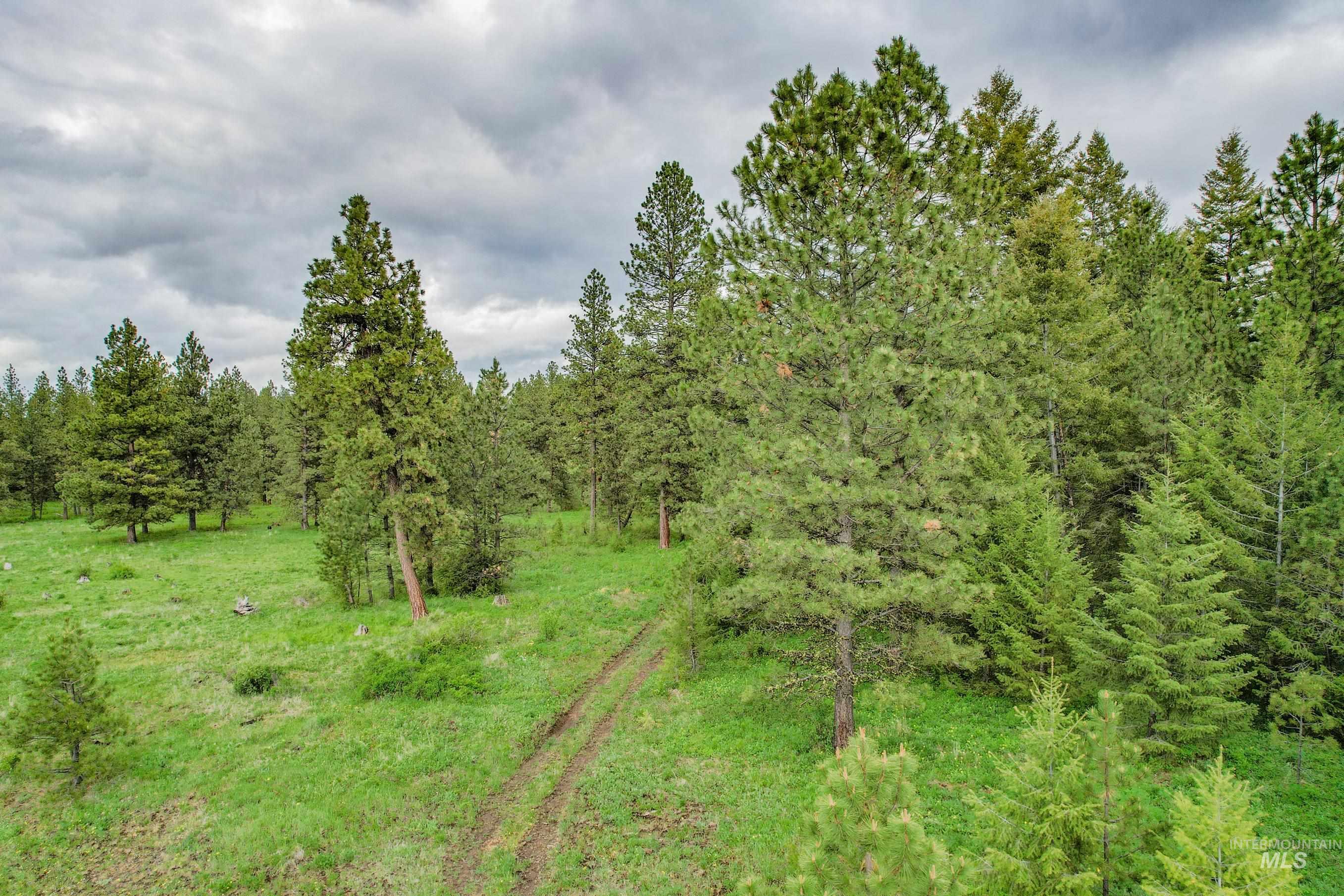 205 Burnt Creek Road, CottonWood, Idaho 83522, 1 Bedroom, 1 Bathroom, Farm & Ranch For Sale, Price $3,866,800, 98947716