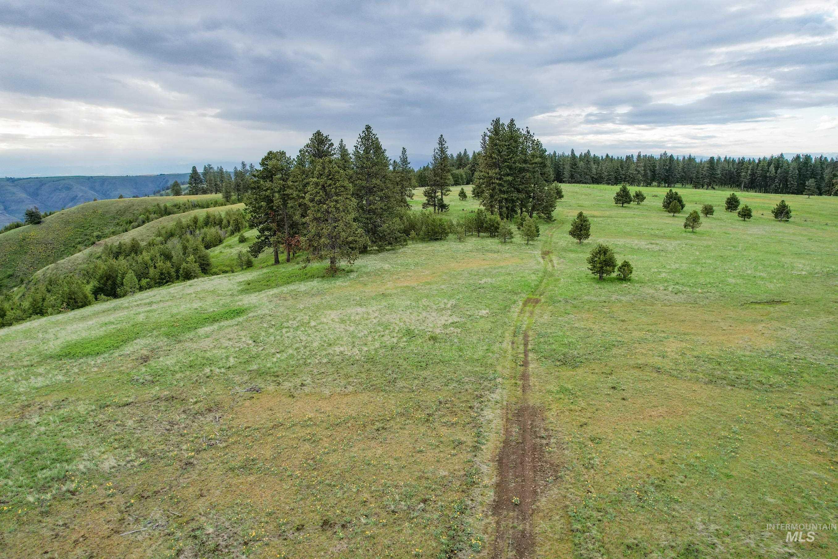 205 Burnt Creek Road, CottonWood, Idaho 83522, 1 Bedroom, 1 Bathroom, Farm & Ranch For Sale, Price $3,866,800, 98947716