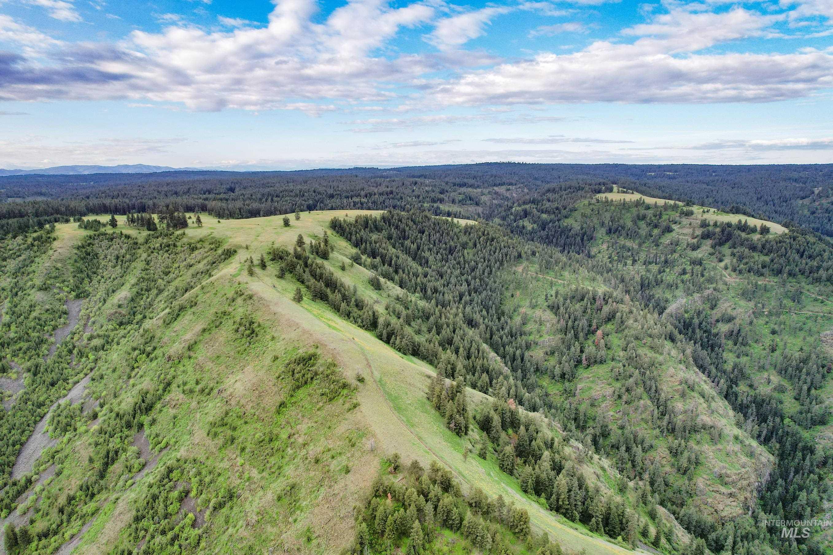 205 Burnt Creek Road, CottonWood, Idaho 83522, 1 Bedroom, 1 Bathroom, Farm & Ranch For Sale, Price $3,866,800, 98947716