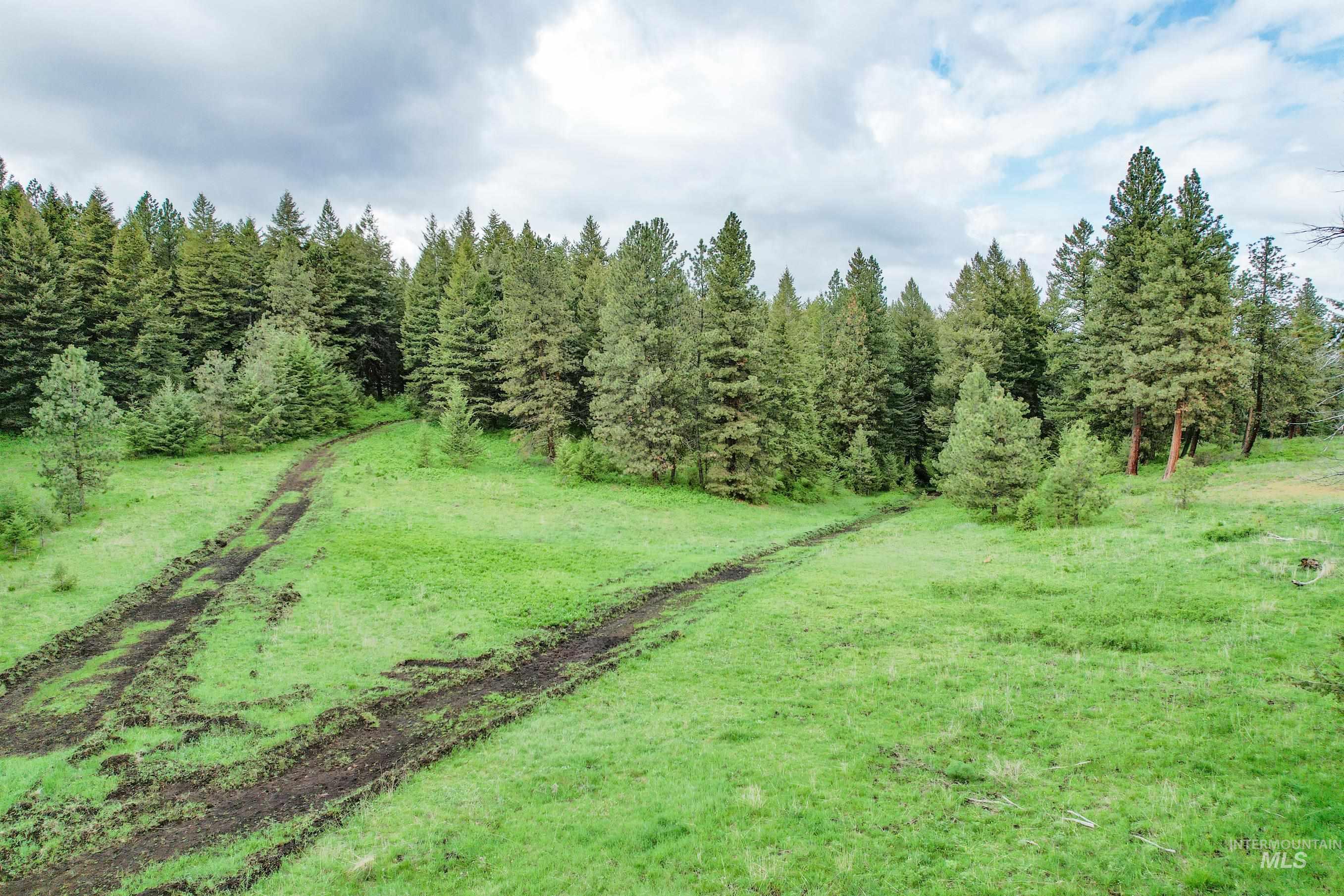 205 Burnt Creek Road, CottonWood, Idaho 83522, 1 Bedroom, 1 Bathroom, Farm & Ranch For Sale, Price $3,866,800, 98947716