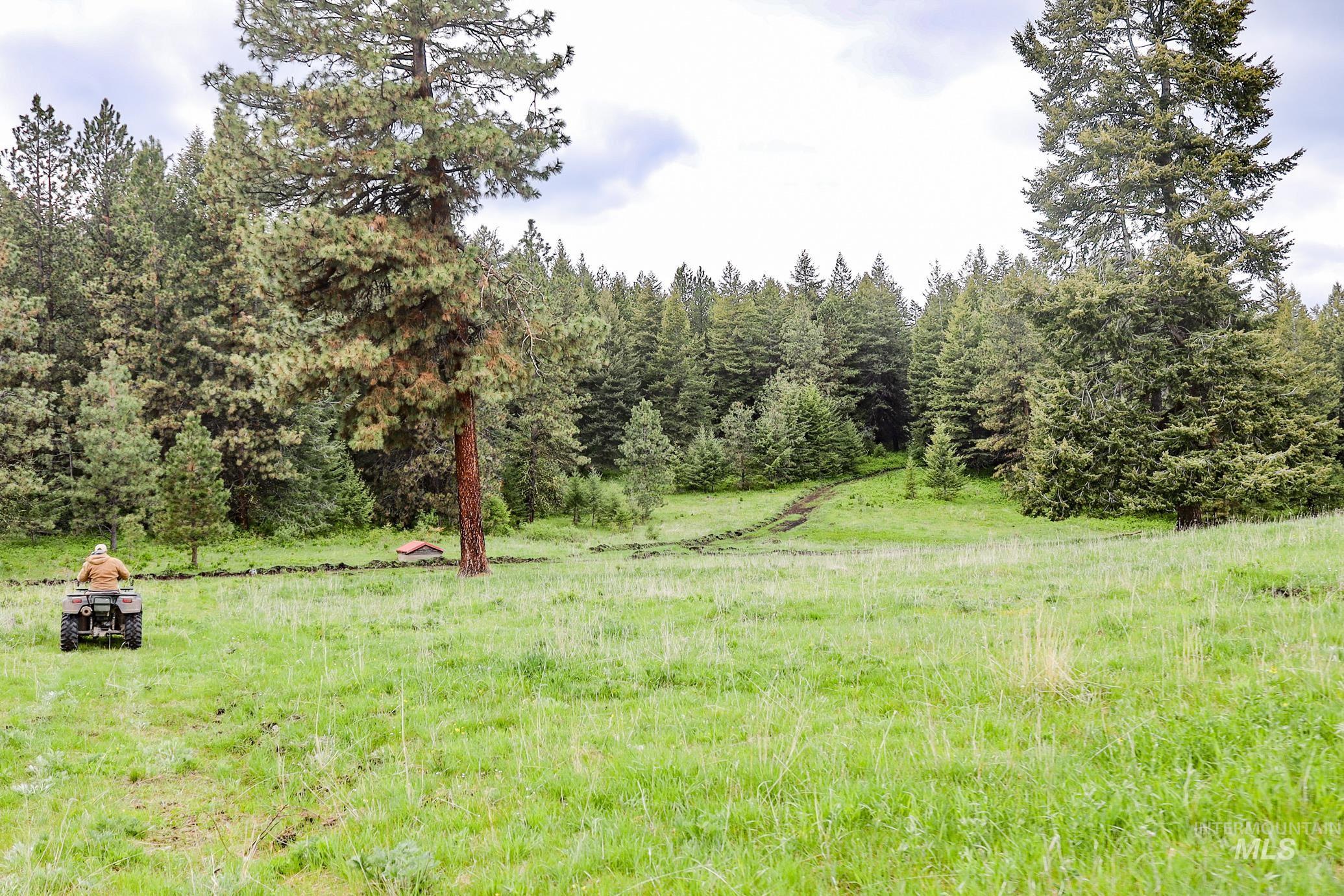 205 Burnt Creek Road, CottonWood, Idaho 83522, 1 Bedroom, 1 Bathroom, Farm & Ranch For Sale, Price $3,866,800, 98947716