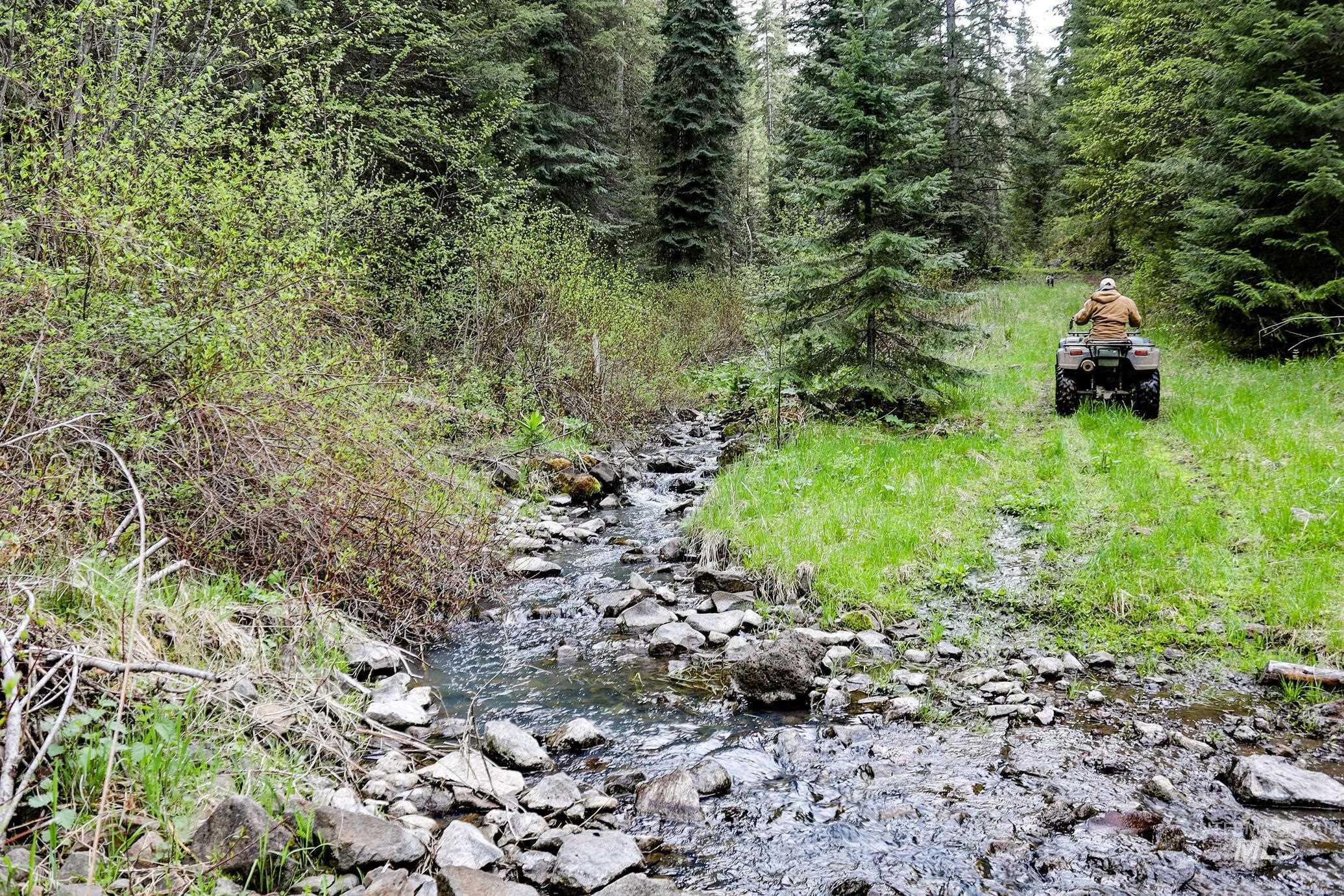 205 Burnt Creek Road, CottonWood, Idaho 83522, 1 Bedroom, 1 Bathroom, Farm & Ranch For Sale, Price $3,866,800, 98947716