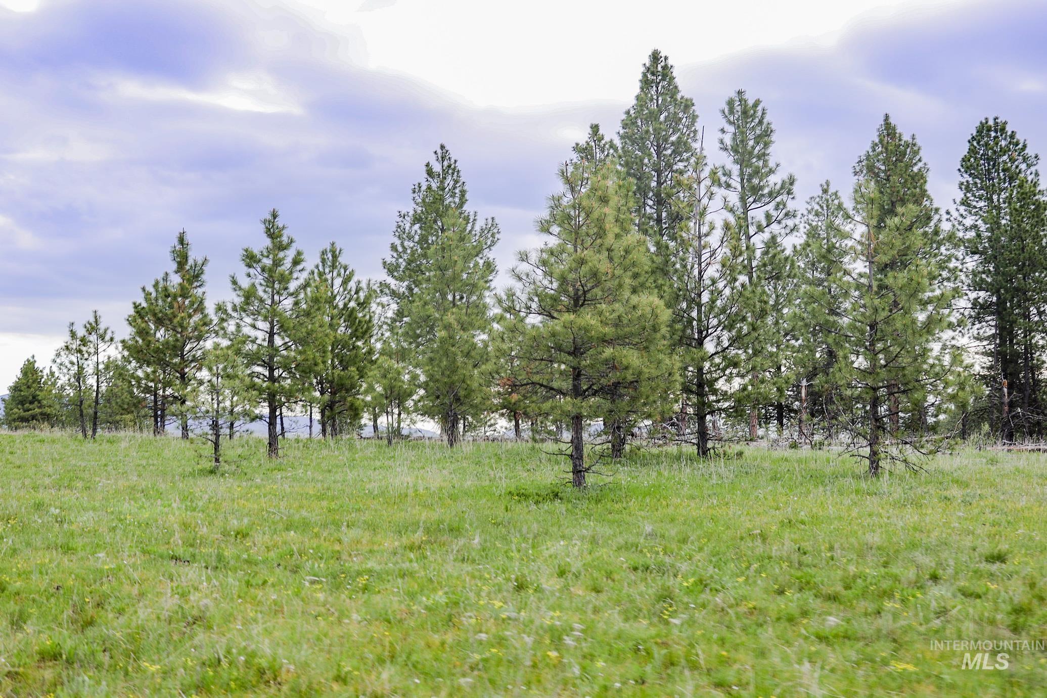 205 Burnt Creek Road, CottonWood, Idaho 83522, 1 Bedroom, 1 Bathroom, Farm & Ranch For Sale, Price $3,866,800, 98947716