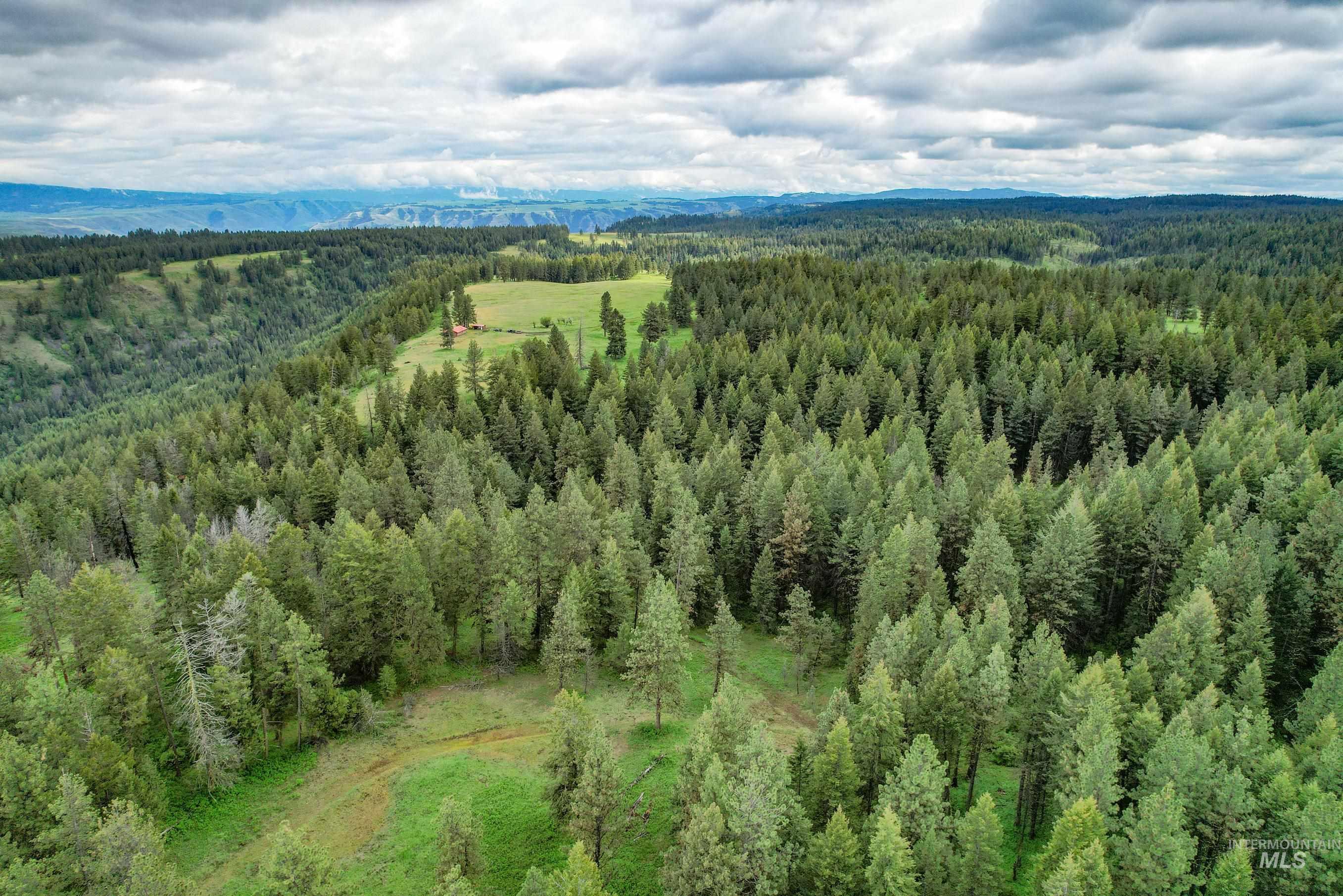 205 Burnt Creek Road, CottonWood, Idaho 83522, 1 Bedroom, 1 Bathroom, Farm & Ranch For Sale, Price $3,866,800, 98947716