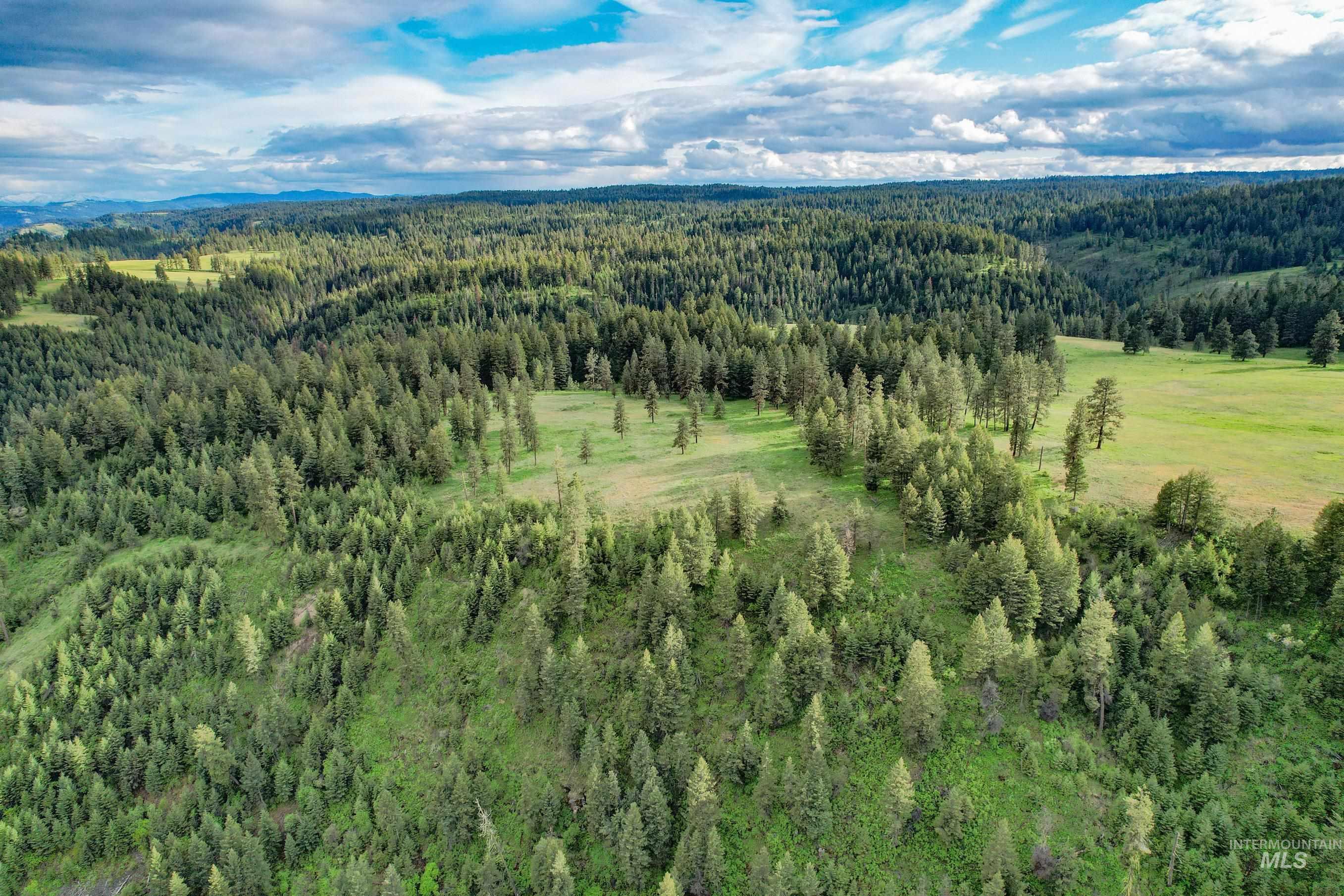 205 Burnt Creek Road, CottonWood, Idaho 83522, 1 Bedroom, 1 Bathroom, Farm & Ranch For Sale, Price $3,866,800, 98947716