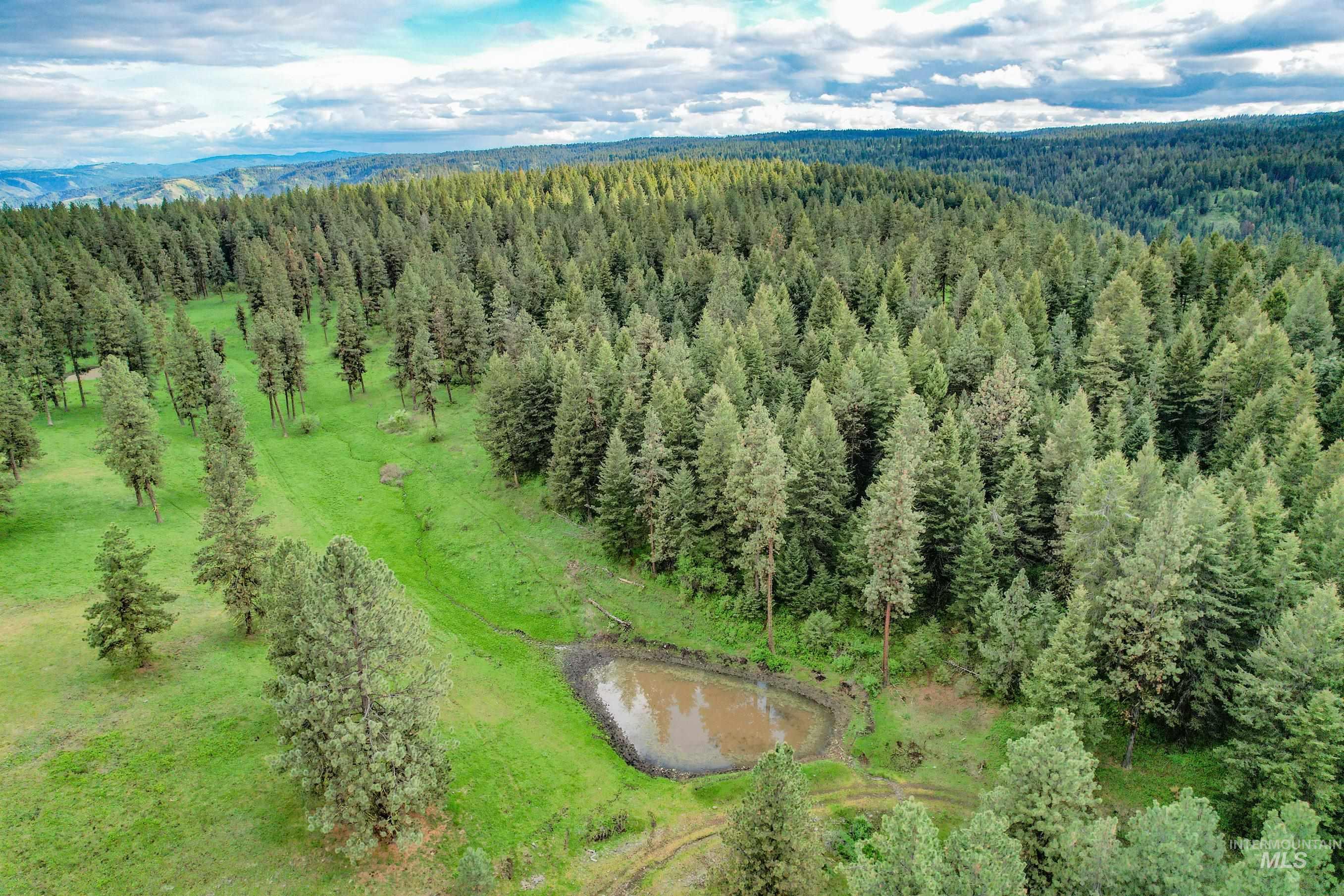 205 Burnt Creek Road, CottonWood, Idaho 83522, 1 Bedroom, 1 Bathroom, Farm & Ranch For Sale, Price $3,866,800, 98947716
