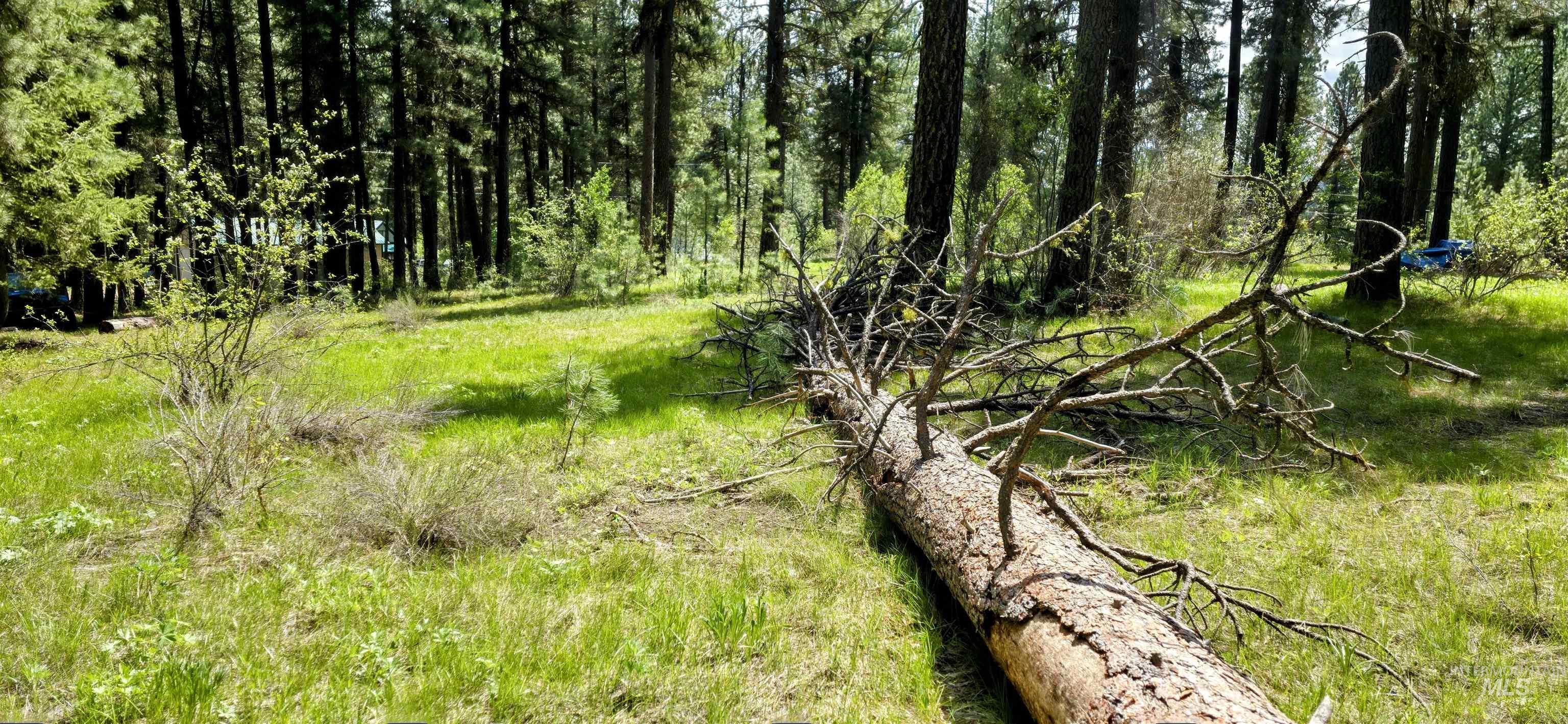 36 Hiatt Cir, Idaho City, Idaho 83631, Land For Sale, Price $150,000, 98947817