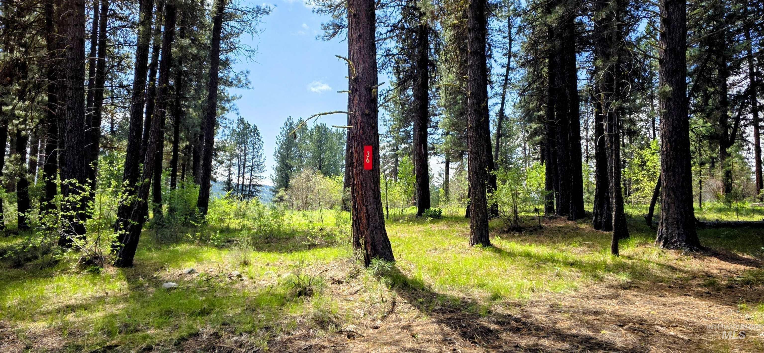 36 Hiatt Cir, Idaho City, Idaho 83631, Land For Sale, Price $150,000, 98947817