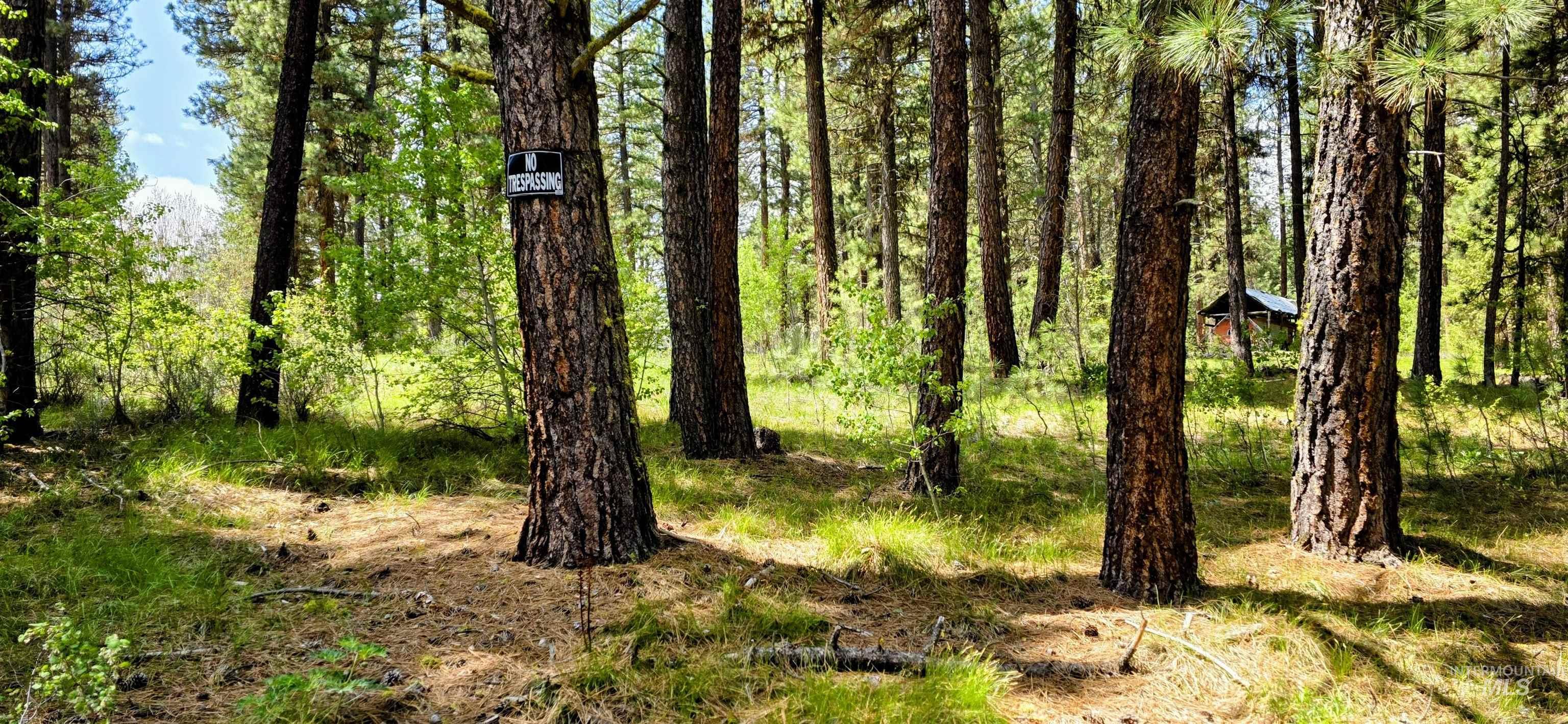 36 Hiatt Cir, Idaho City, Idaho 83631, Land For Sale, Price $150,000, 98947817