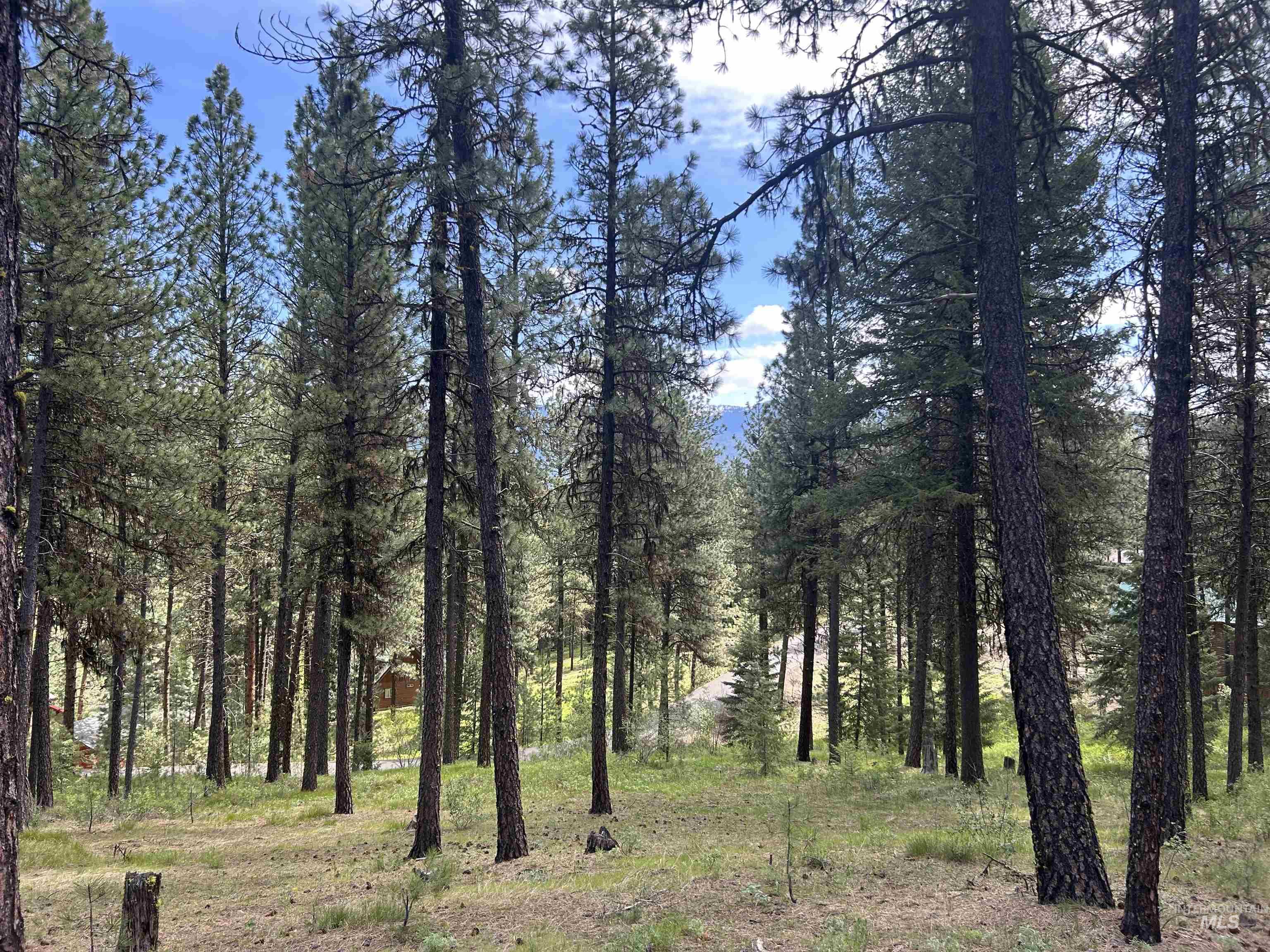 Syringa Drive, New Meadows, Idaho 83654, Land For Sale, Price $79,000, 98947820