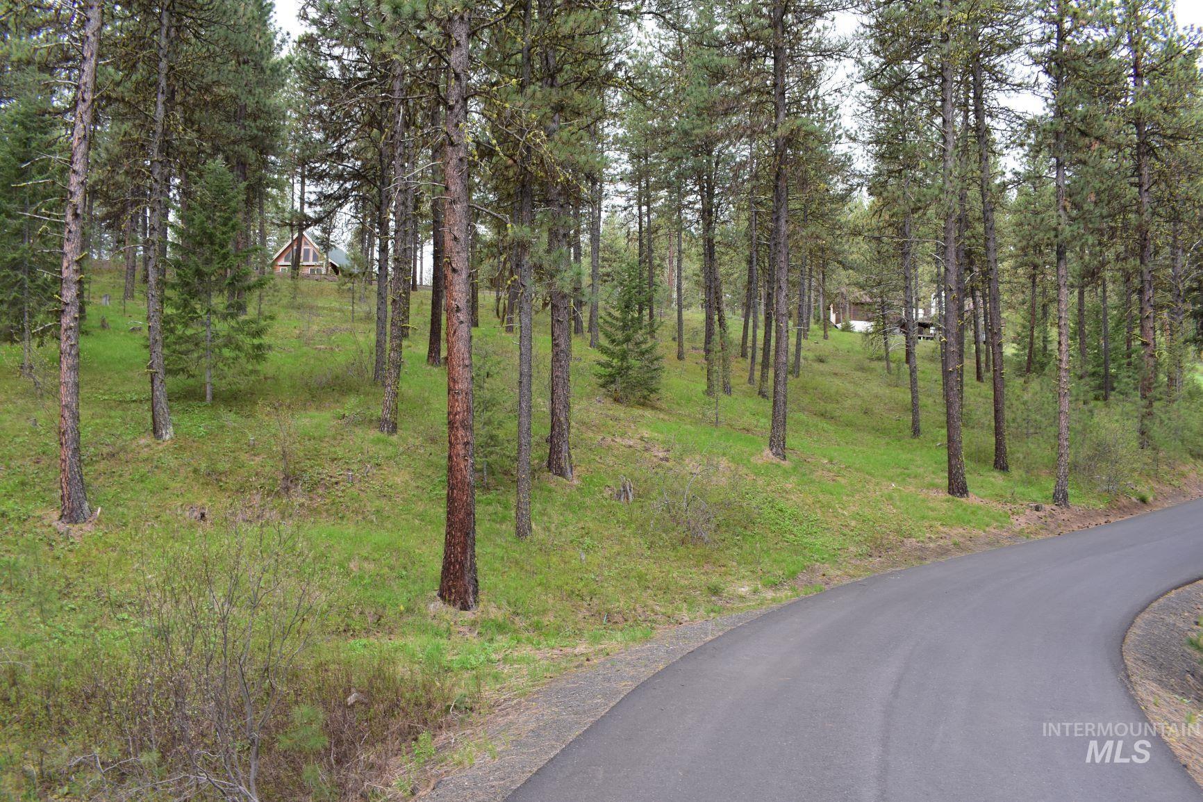 Syringa Drive, New Meadows, Idaho 83654, Land For Sale, Price $79,000, 98947820