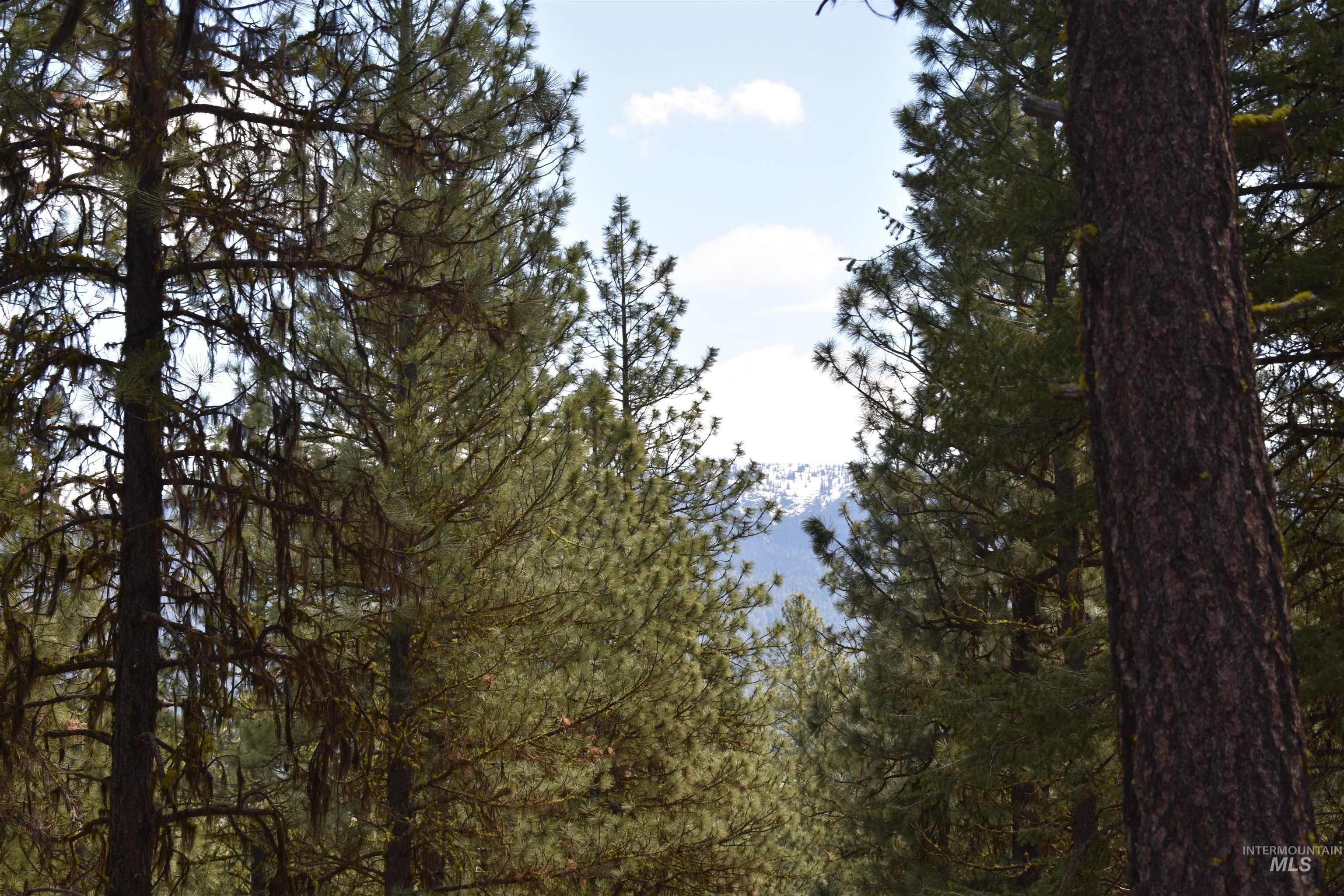 Syringa Drive, New Meadows, Idaho 83654, Land For Sale, Price $79,000, 98947820