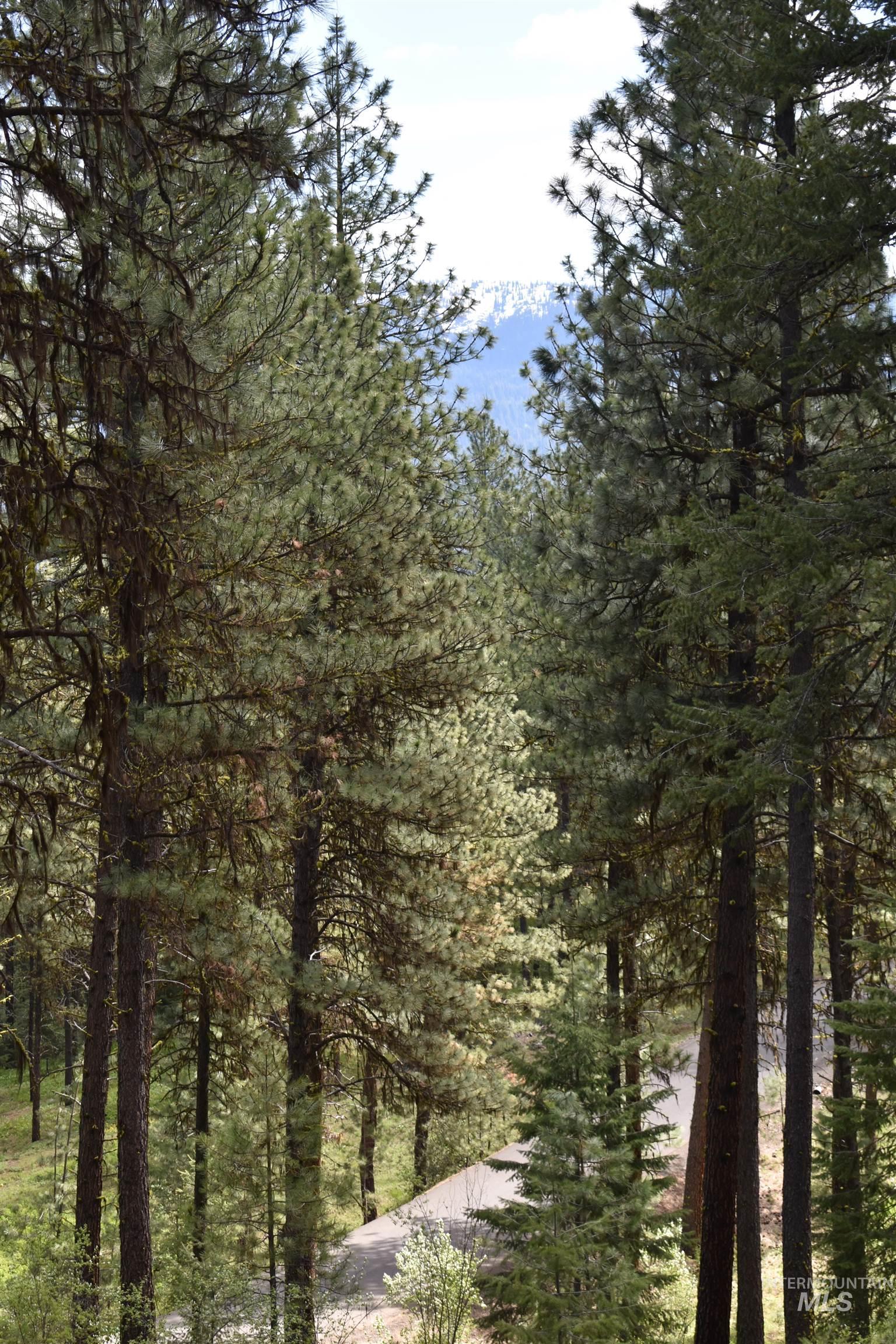 Syringa Drive, New Meadows, Idaho 83654, Land For Sale, Price $79,000, 98947820