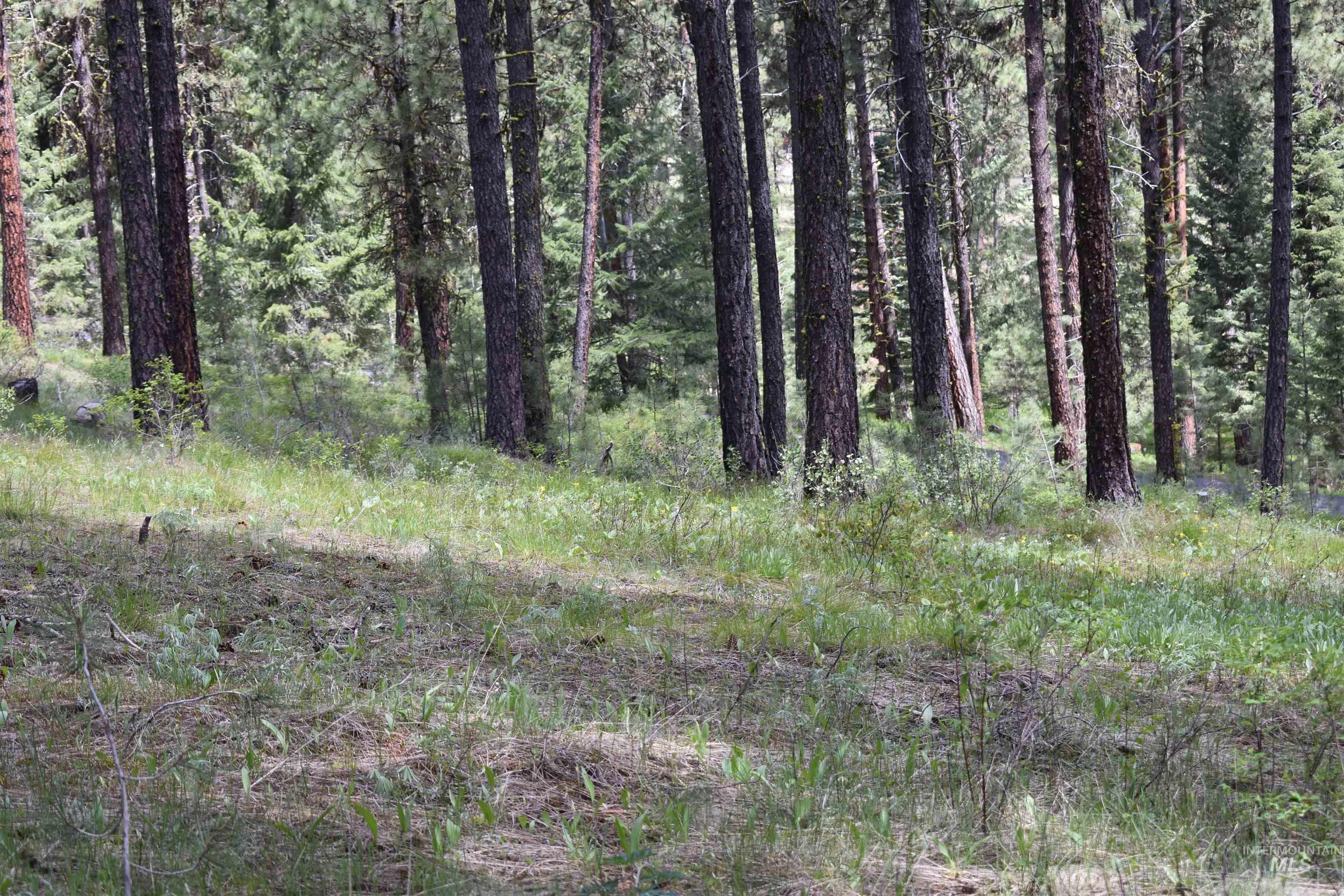 Syringa Drive, New Meadows, Idaho 83654, Land For Sale, Price $79,000, 98947820