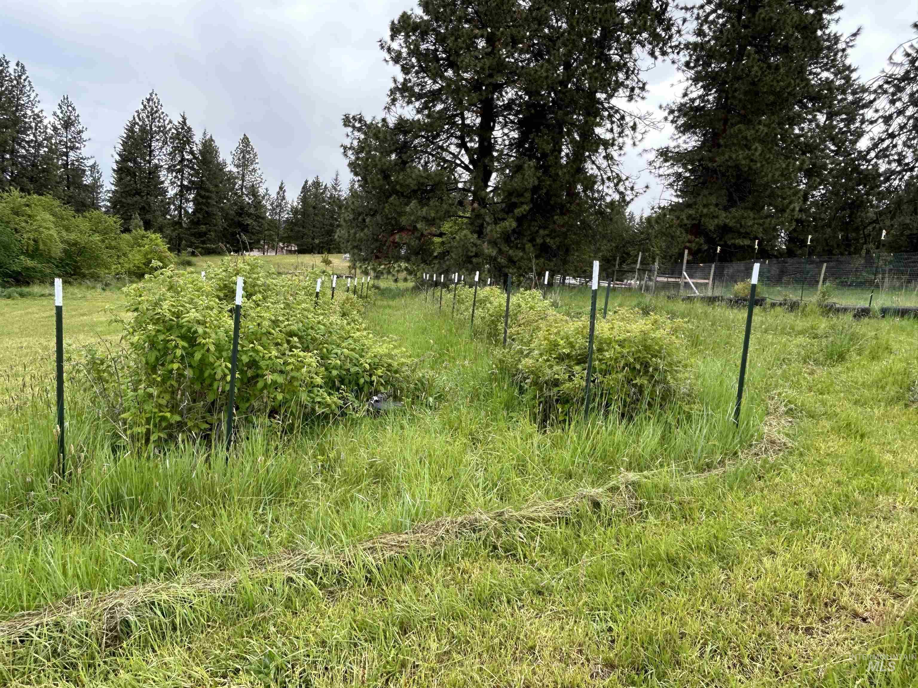 170 Red Fir Road, Kooskia, Idaho 83539, 8 Bedrooms, 7 Bathrooms, Residential For Sale, Price $790,000, 98947823