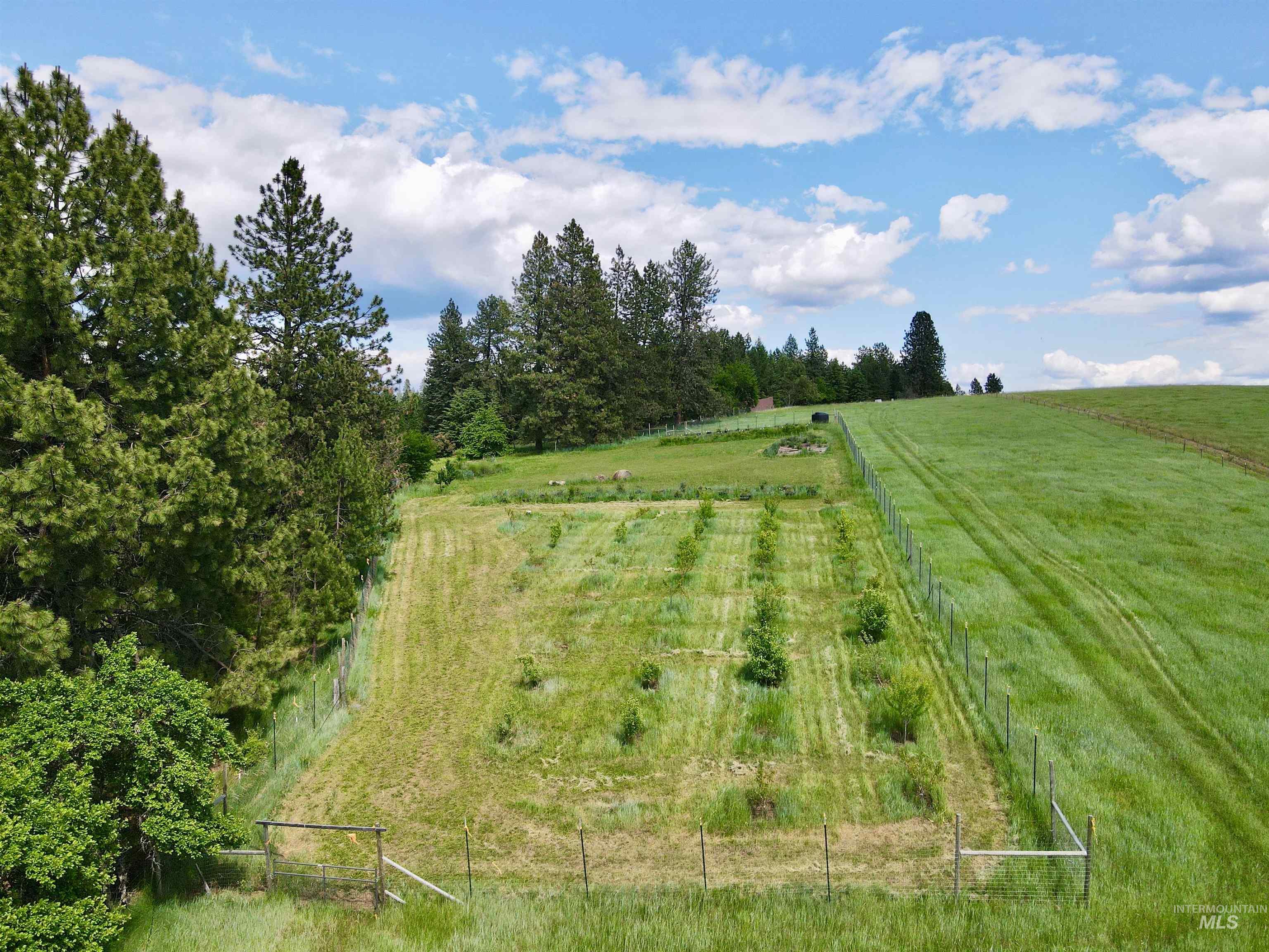 170 Red Fir Road, Kooskia, Idaho 83539, 8 Bedrooms, 7 Bathrooms, Residential For Sale, Price $790,000, 98947823