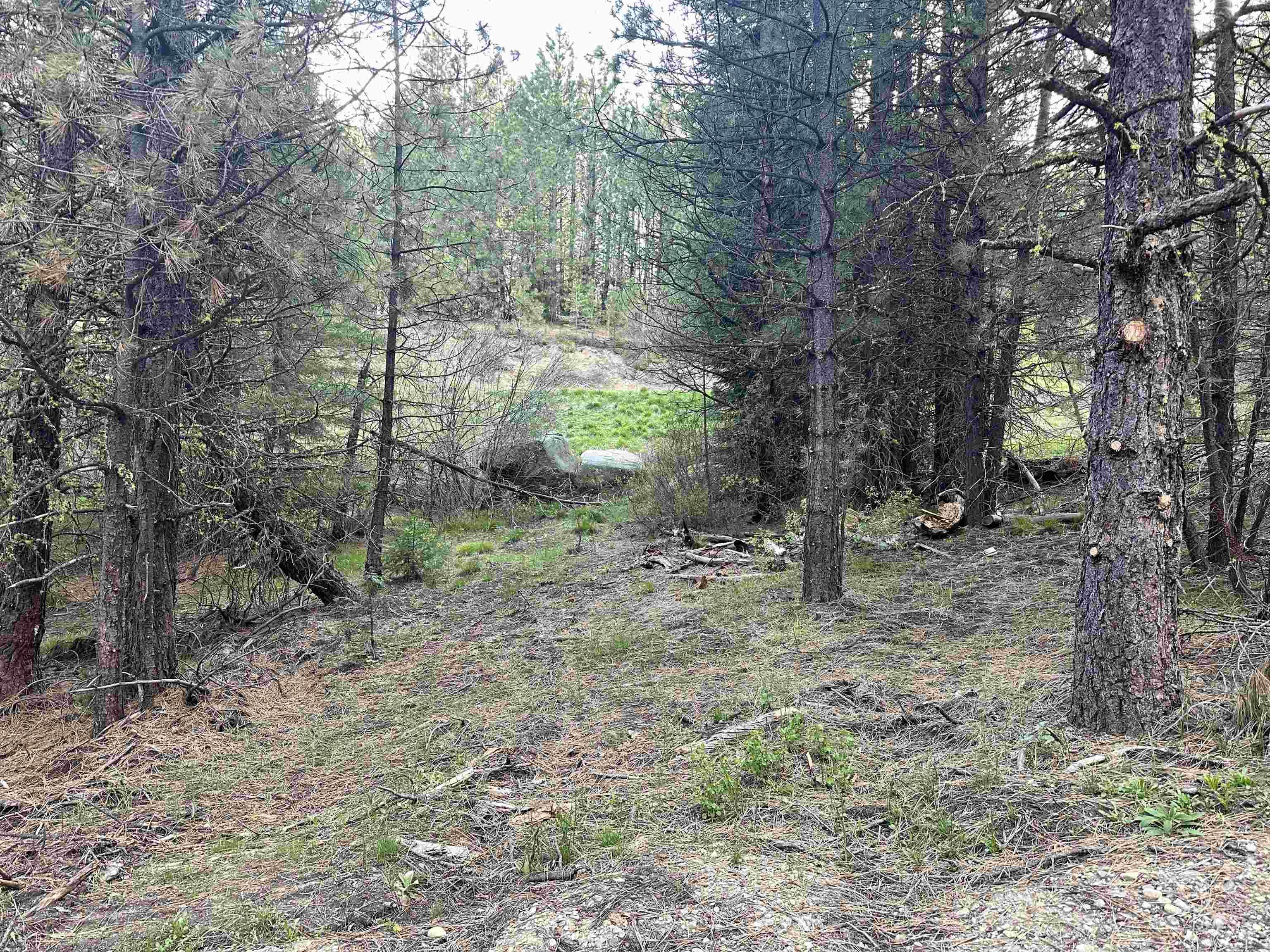 45 Price Loop, Cascade, Idaho 83611, Land For Sale, Price $187,000, 98947844