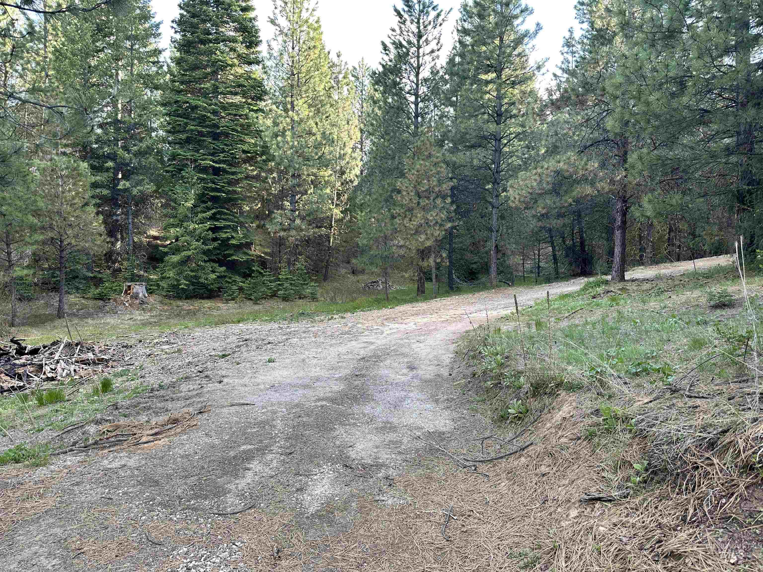 45 Price Loop, Cascade, Idaho 83611, Land For Sale, Price $187,000, 98947844