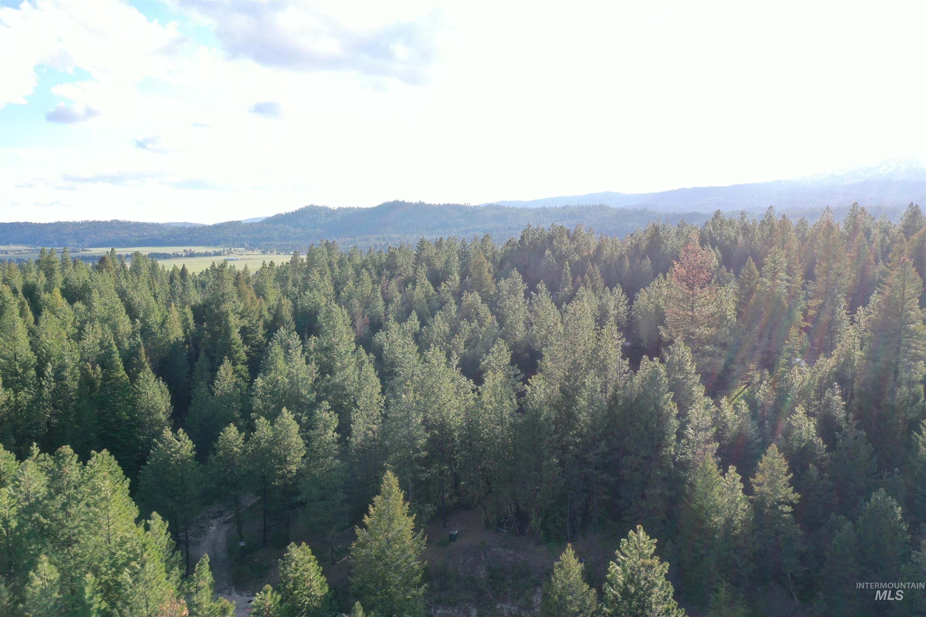 45 Price Loop, Cascade, Idaho 83611, Land For Sale, Price $187,000, 98947844