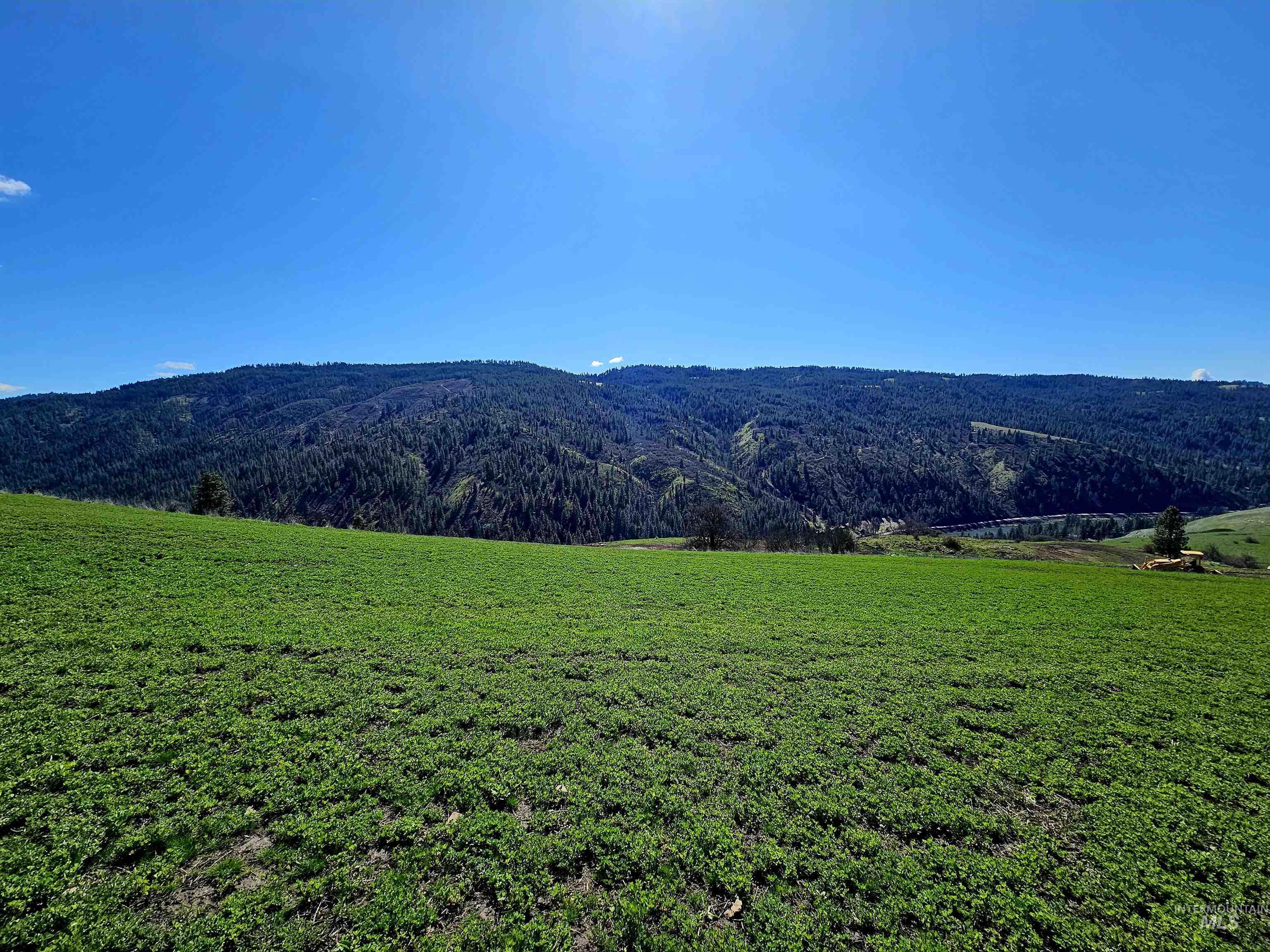 Lot 4 Quiet Hills Lane, Lenore, Idaho 83541, Land For Sale, Price $340,000, 98947845