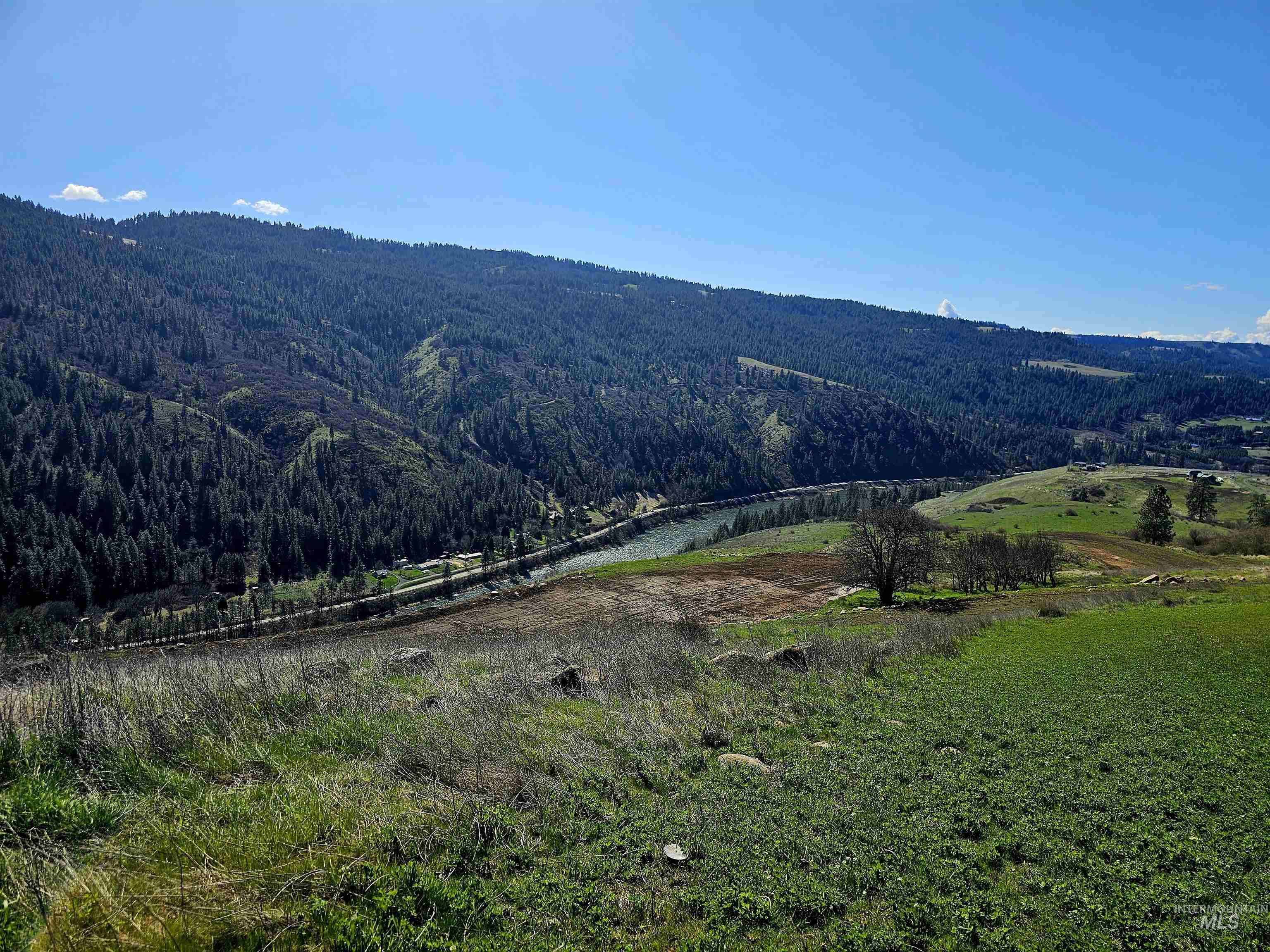 Lot 4 Quiet Hills Lane, Lenore, Idaho 83541, Land For Sale, Price $340,000, 98947845