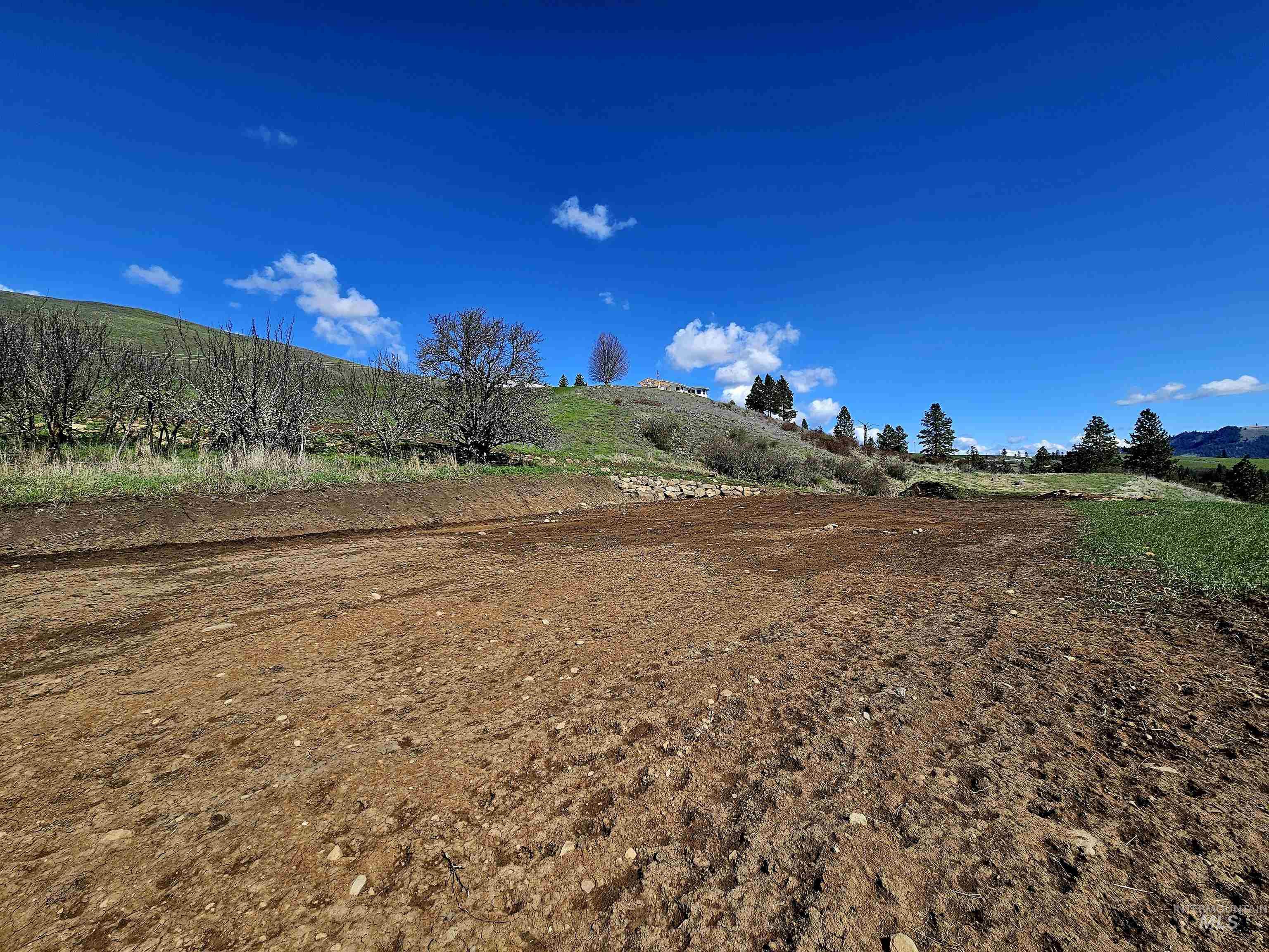 Lot 4 Quiet Hills Lane, Lenore, Idaho 83541, Land For Sale, Price $340,000, 98947845